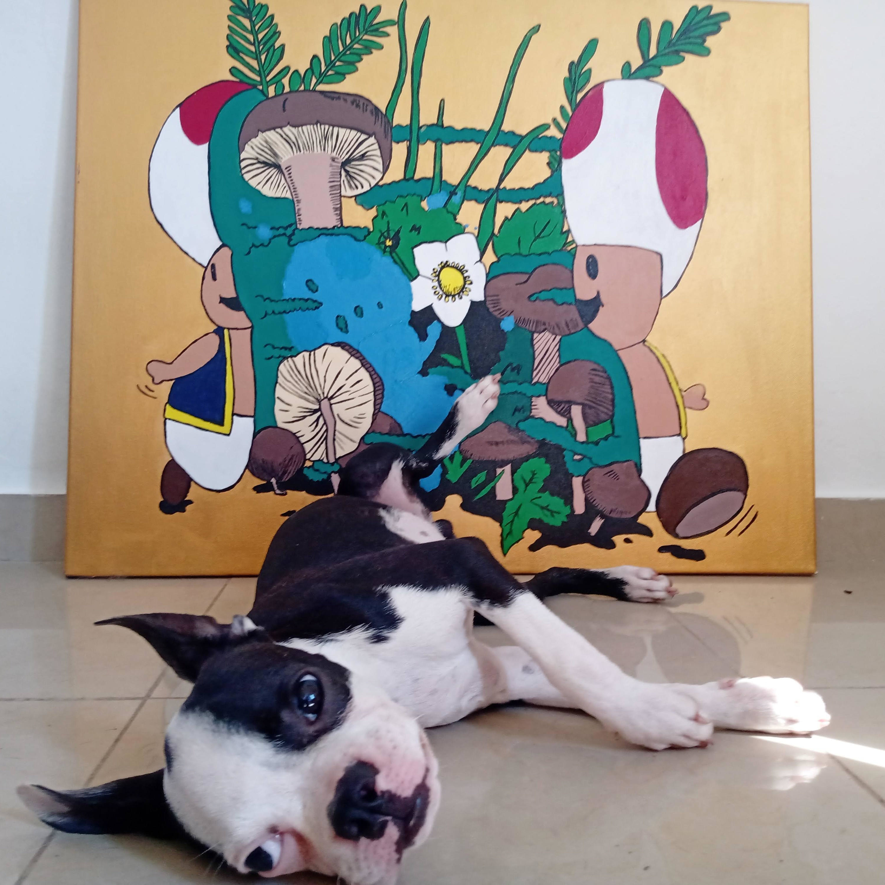 Plains, Plateaus & Platanos
