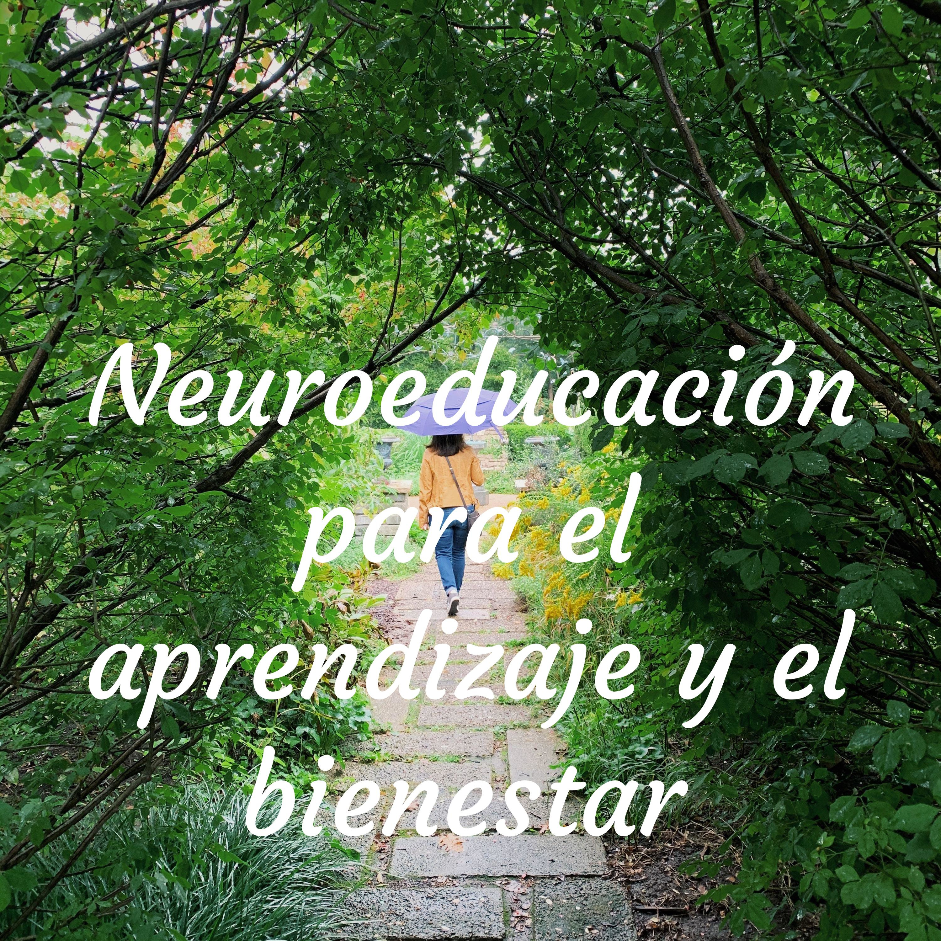 Neuroeducación para el aprendizaje y el bienestar 