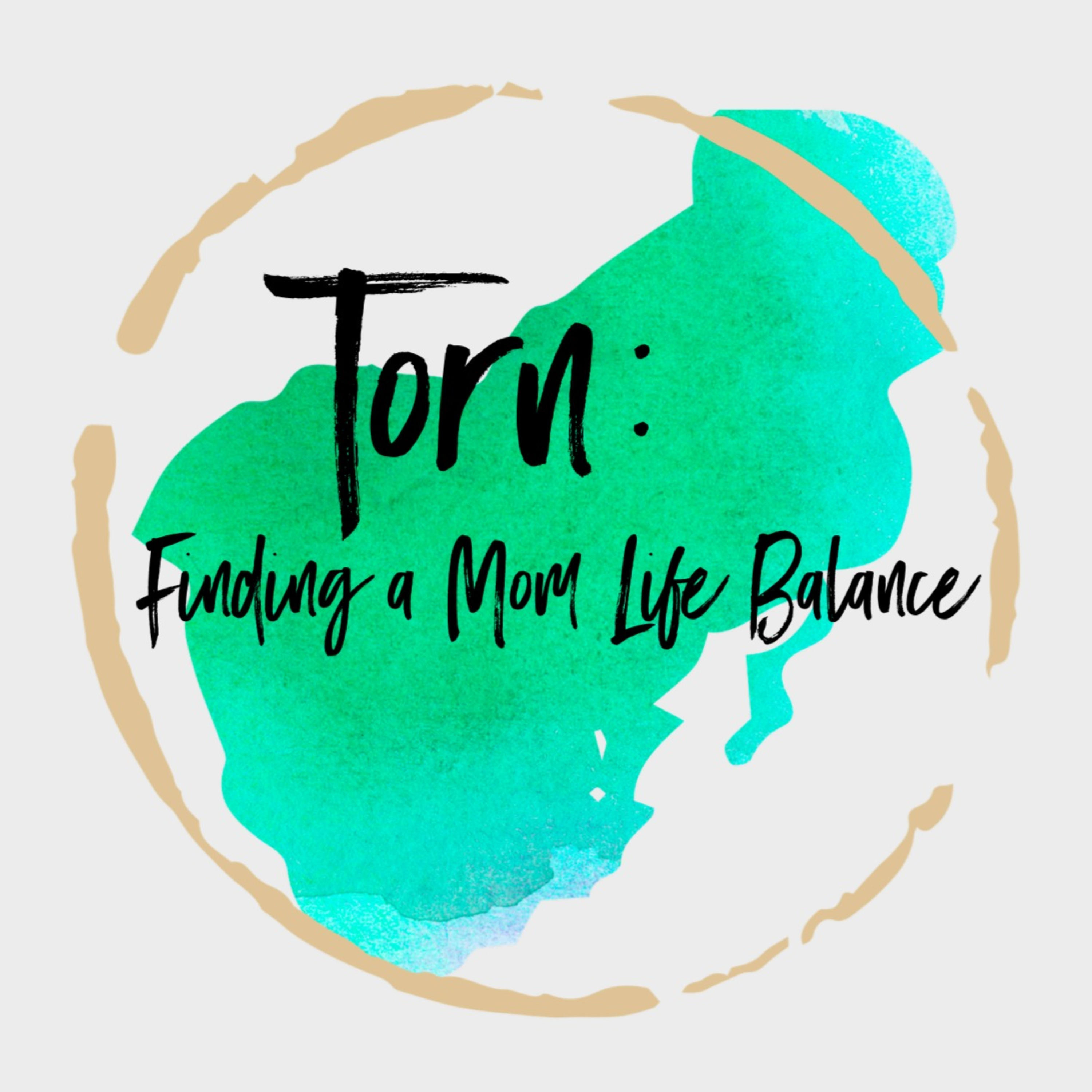 Torn: Finding a Mom Life Balance