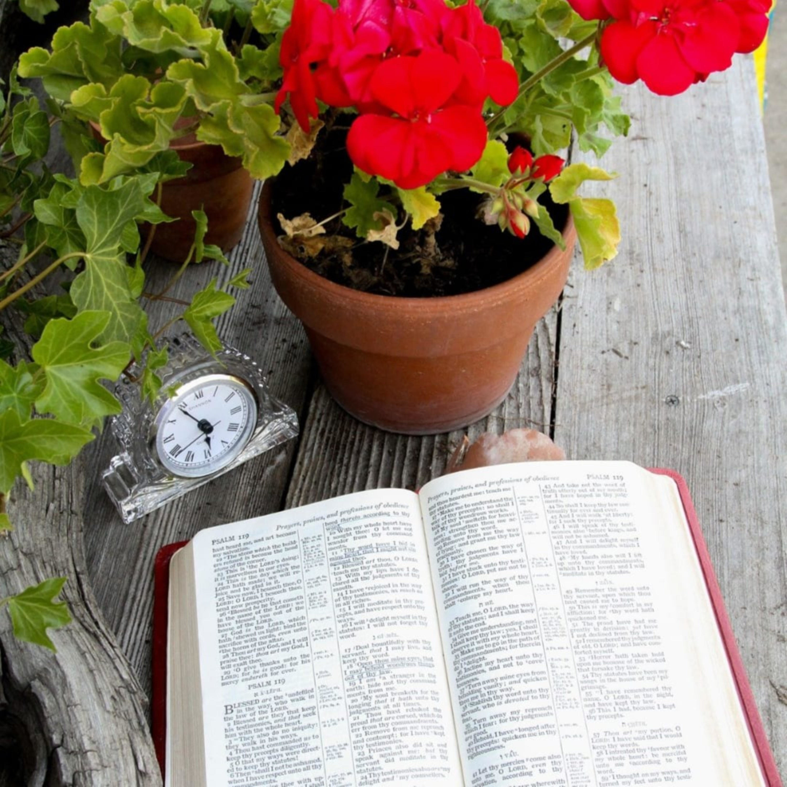 What You Need to Know About False Teachers and Pastors What You Need to Know About False Teachers and Pastors