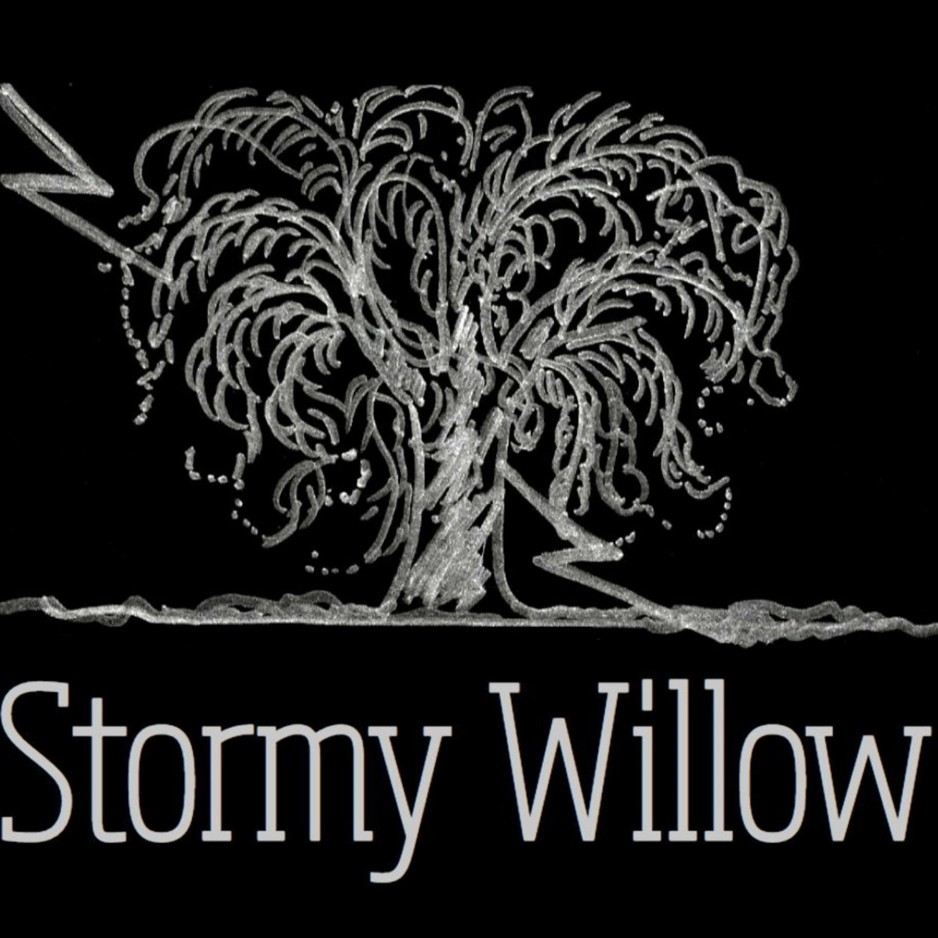 Stormy Willow: A Paranormal Podcast