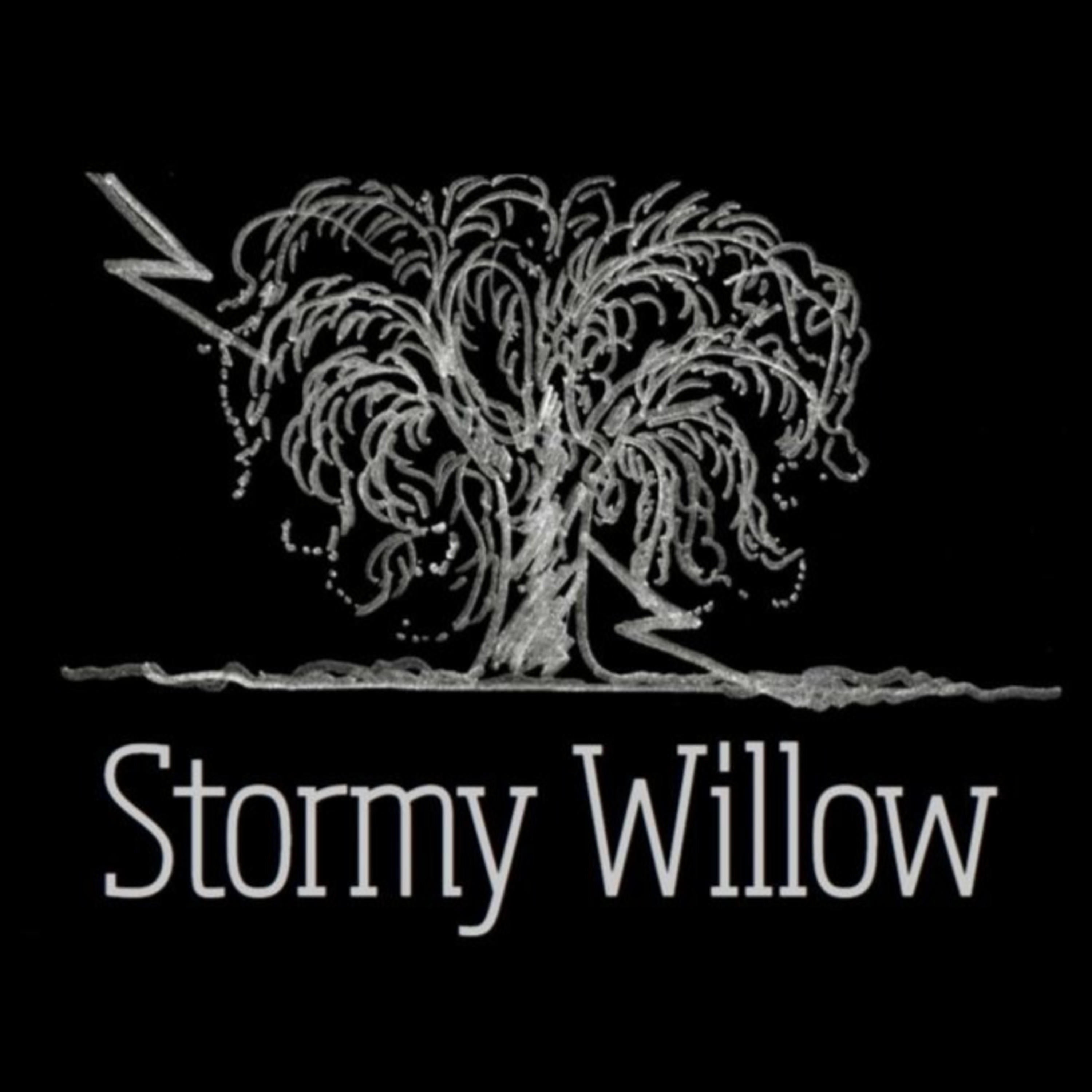 Stormy Willow: A Paranormal Podcast