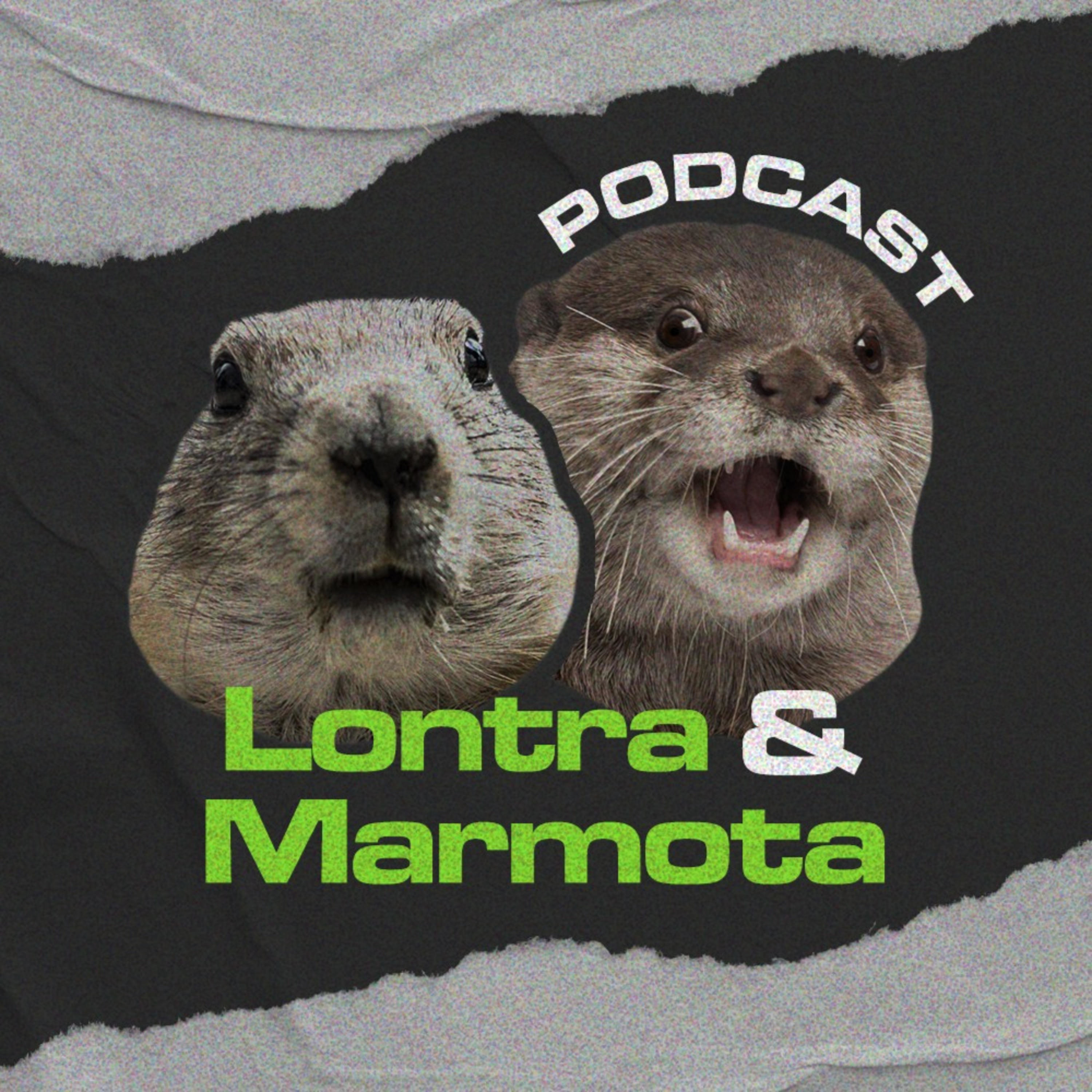 Lontra e Marmota