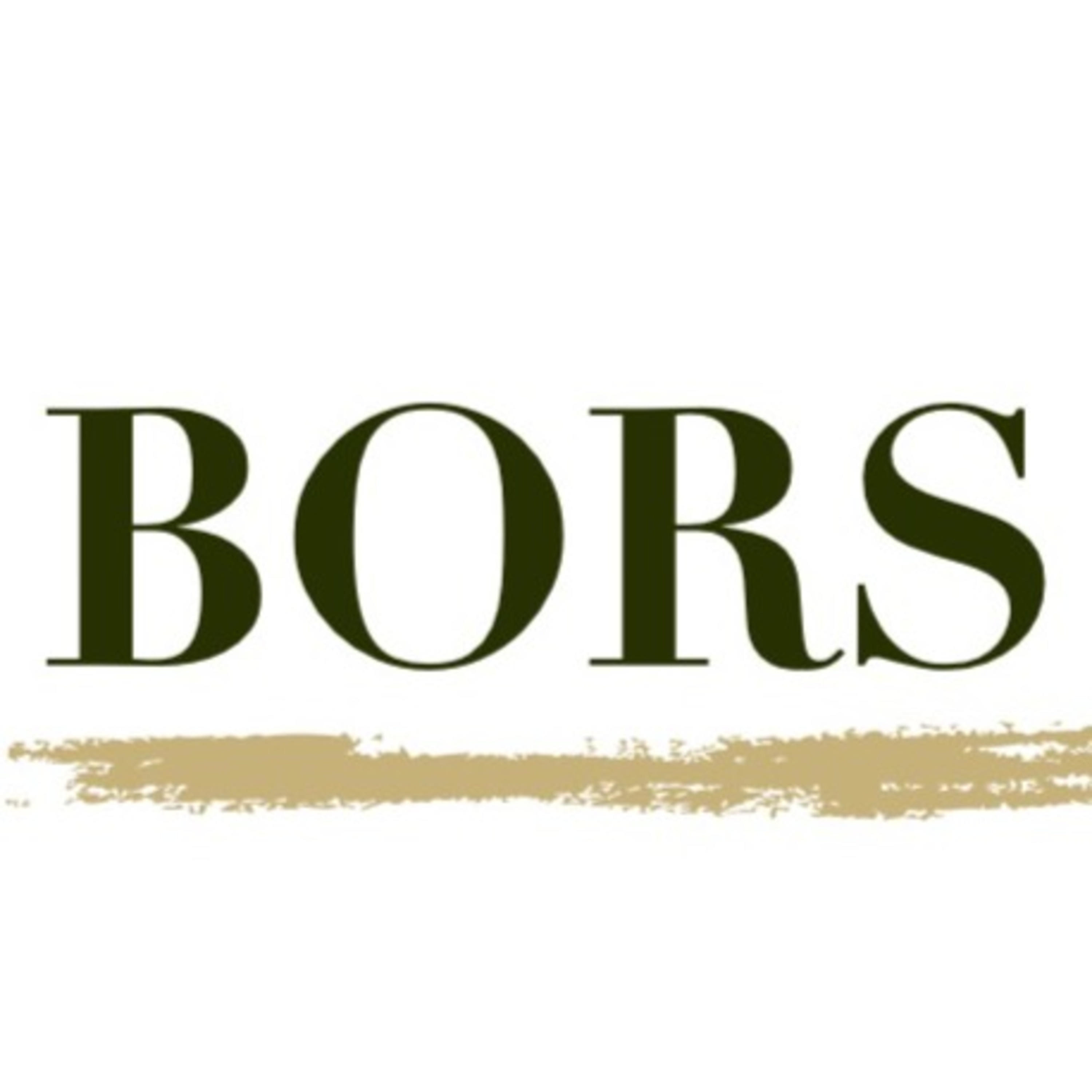 Bors Capital