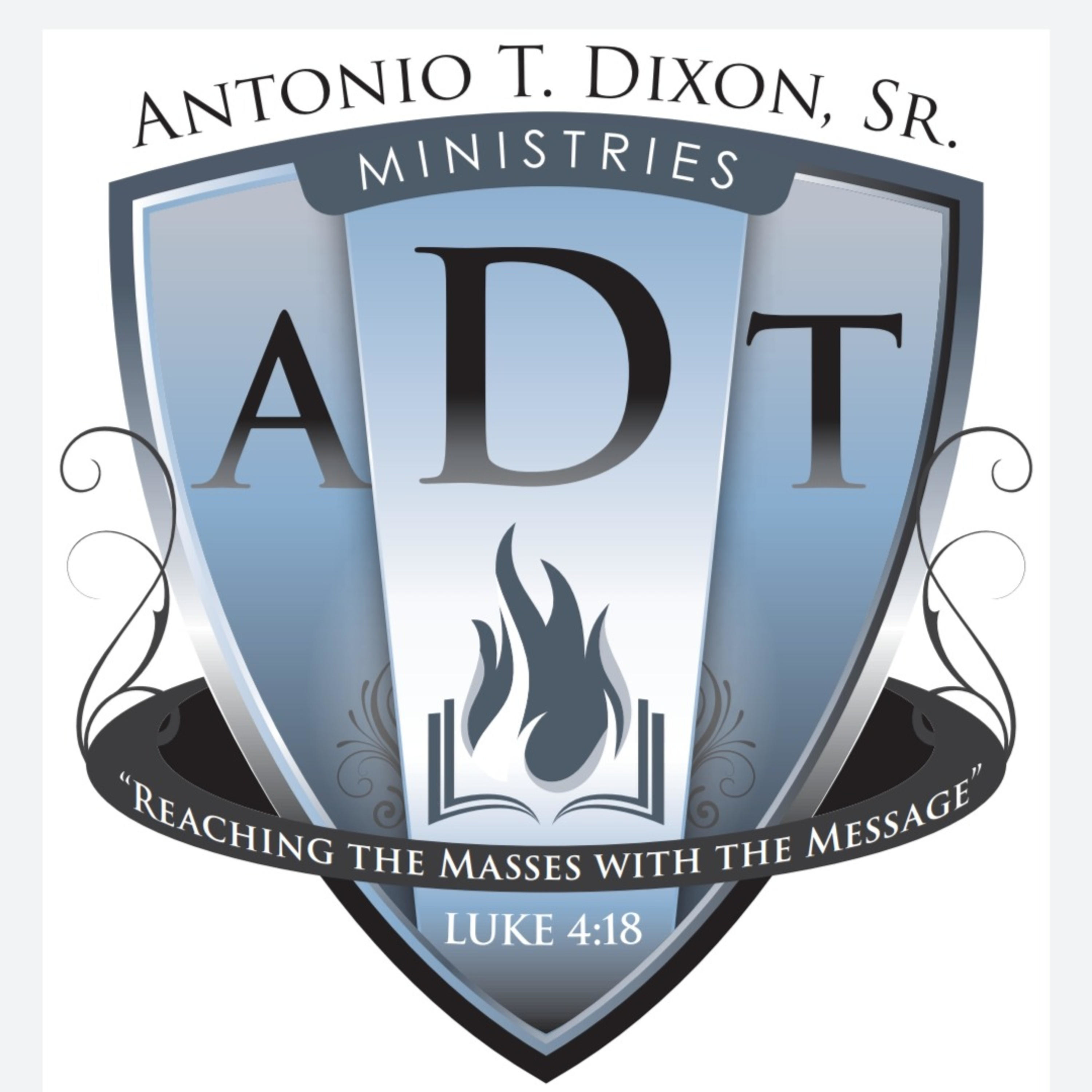 Expository Preaching: Voices in the Wilderness cover art