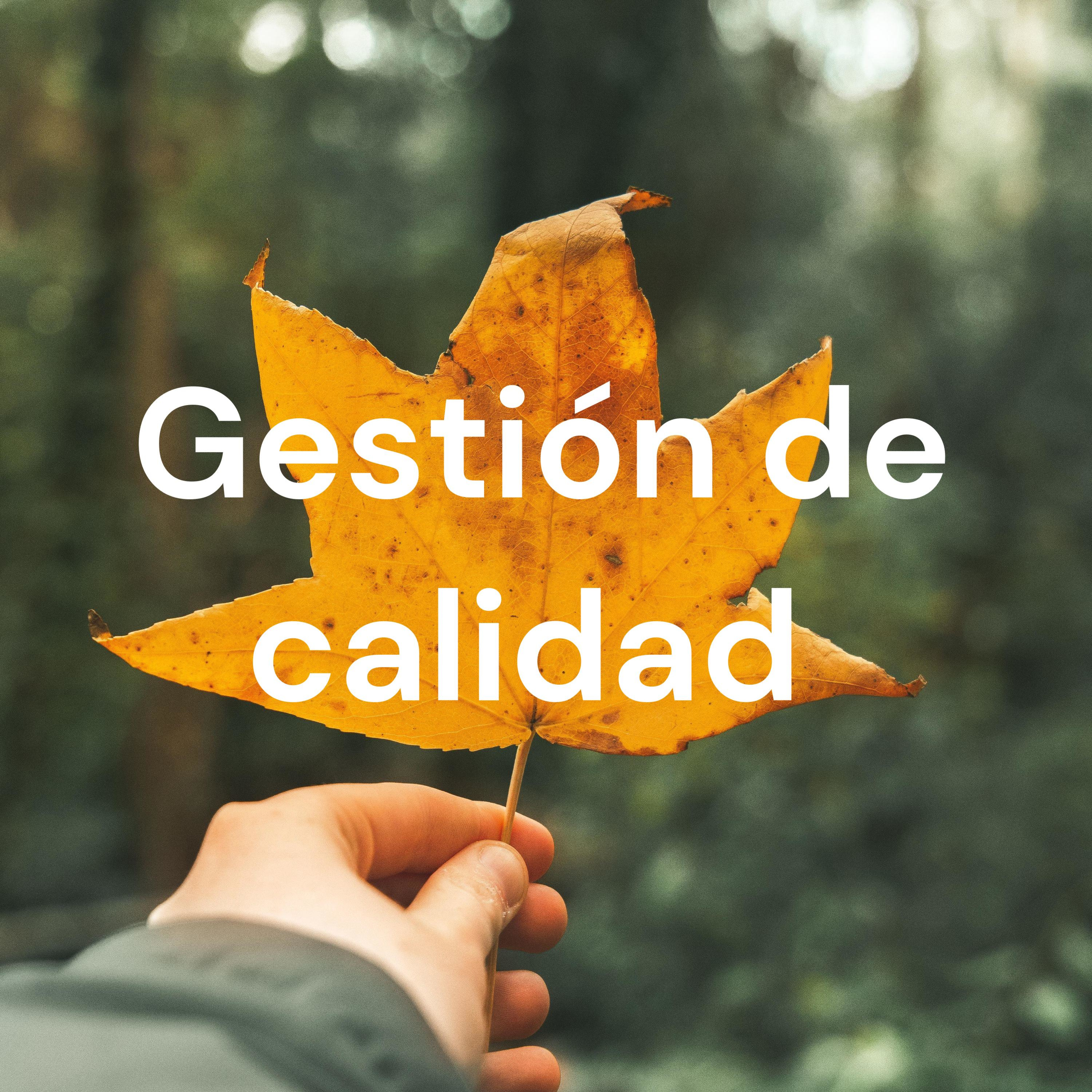 Gestión de calidad 