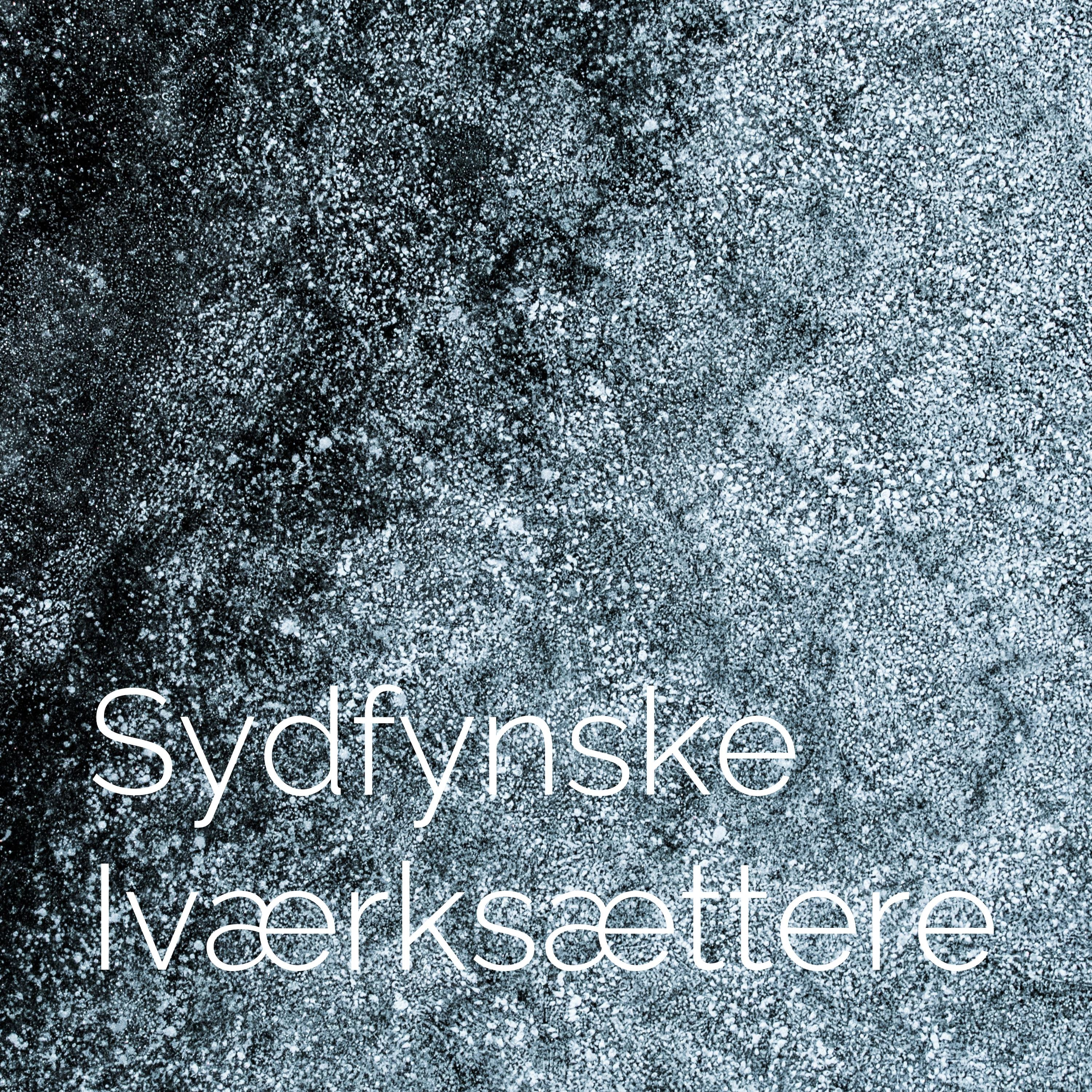 Sydfynske Iværksættere cover art