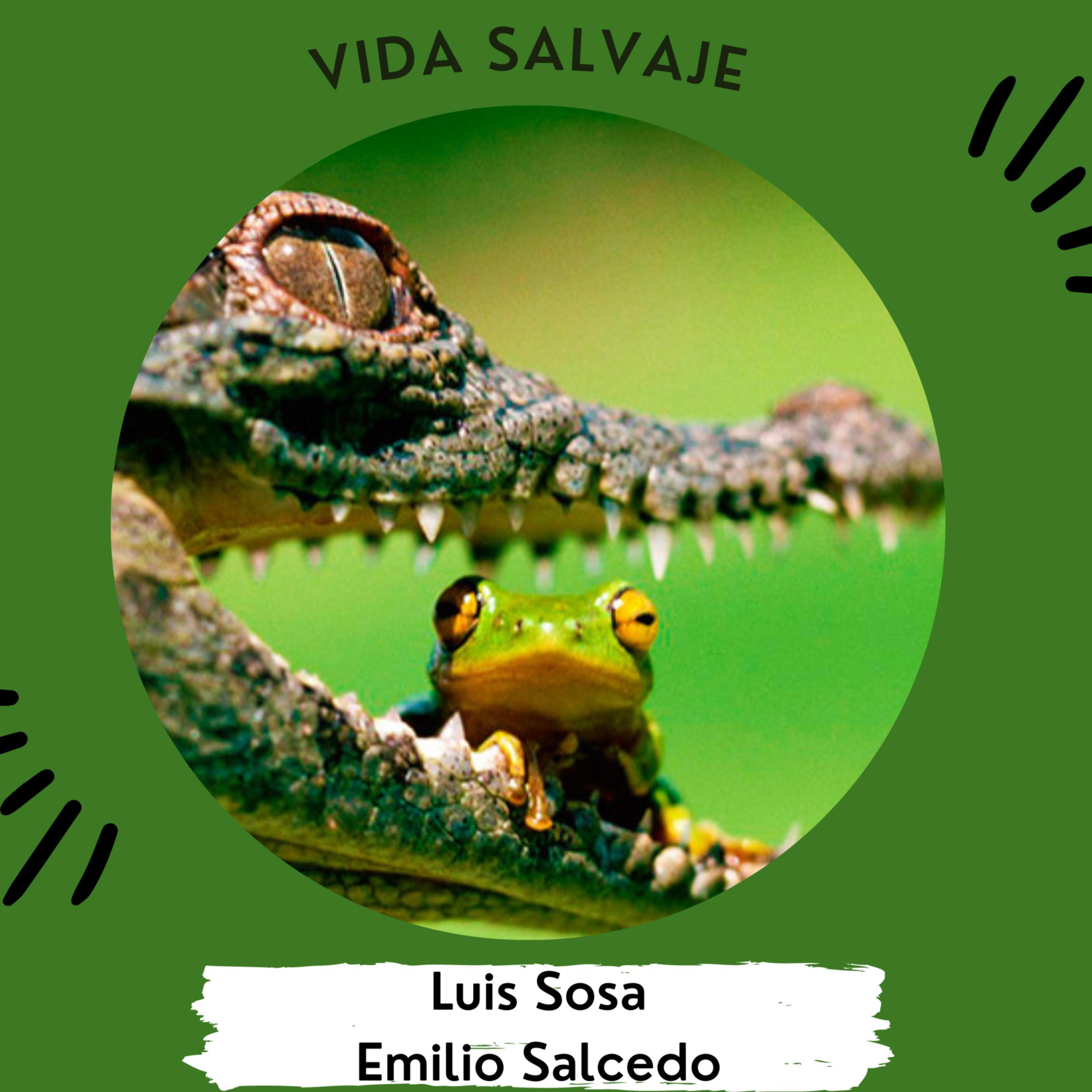 Vida salvaje