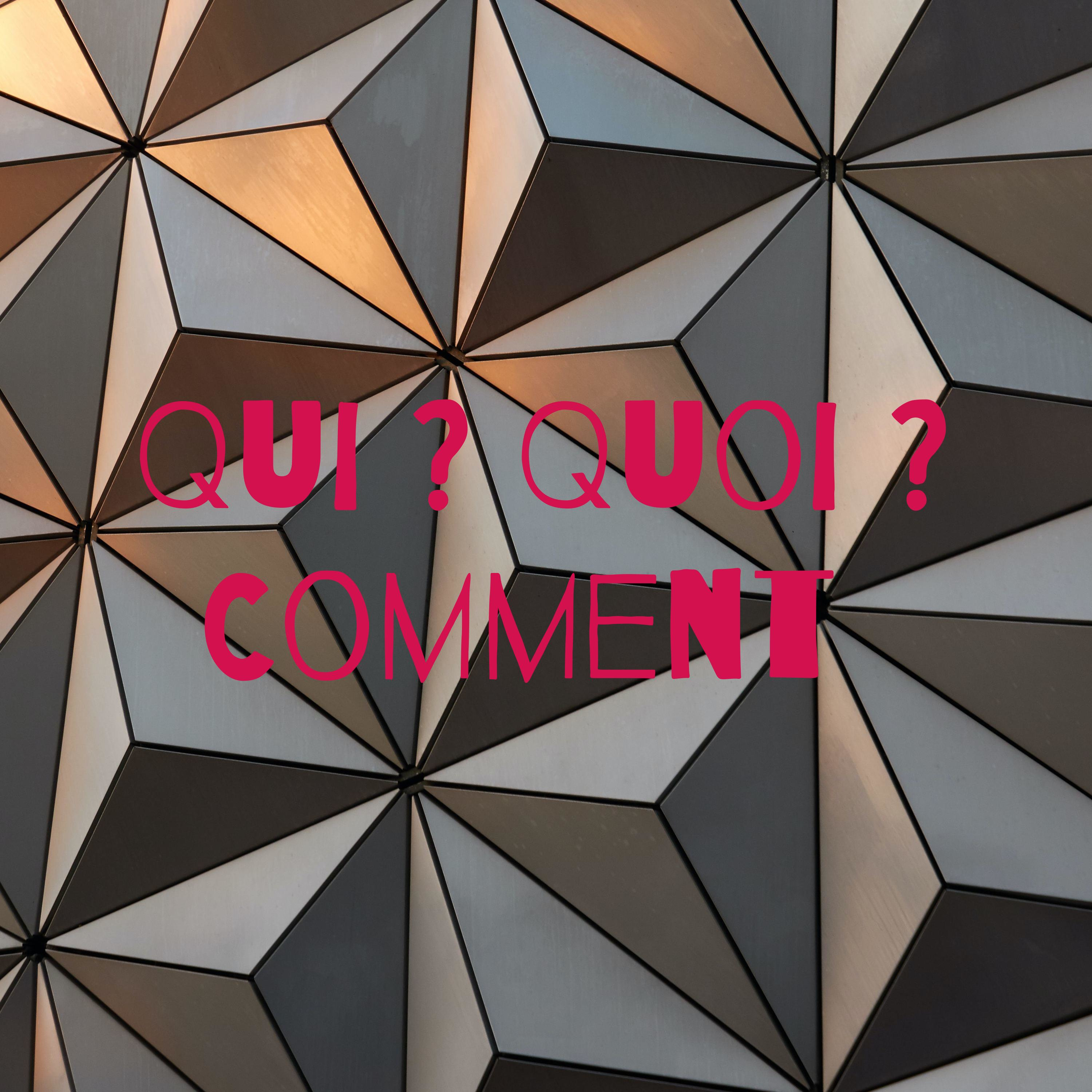 Qui ? Quoi ? Comment