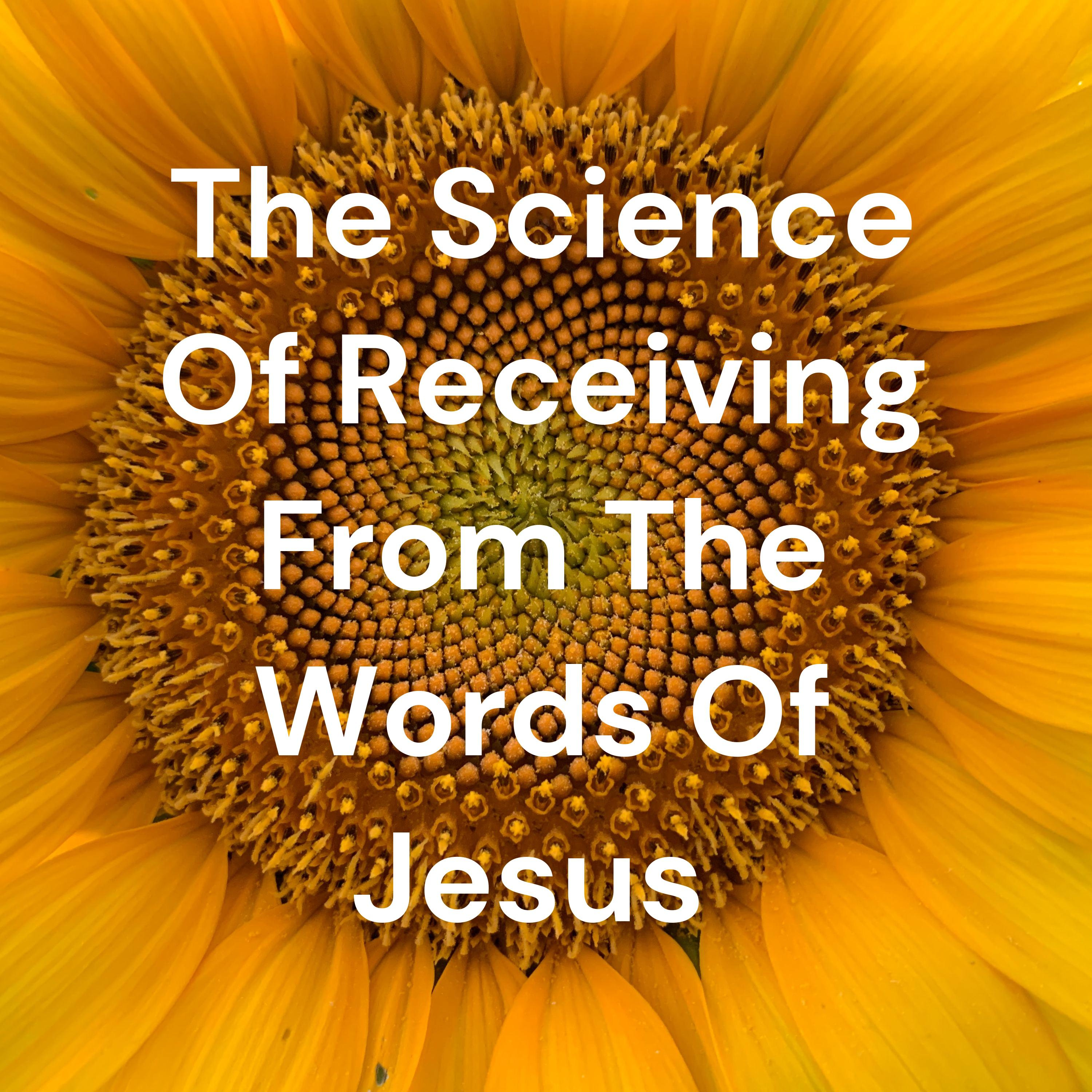 Building A NicheMinistry 