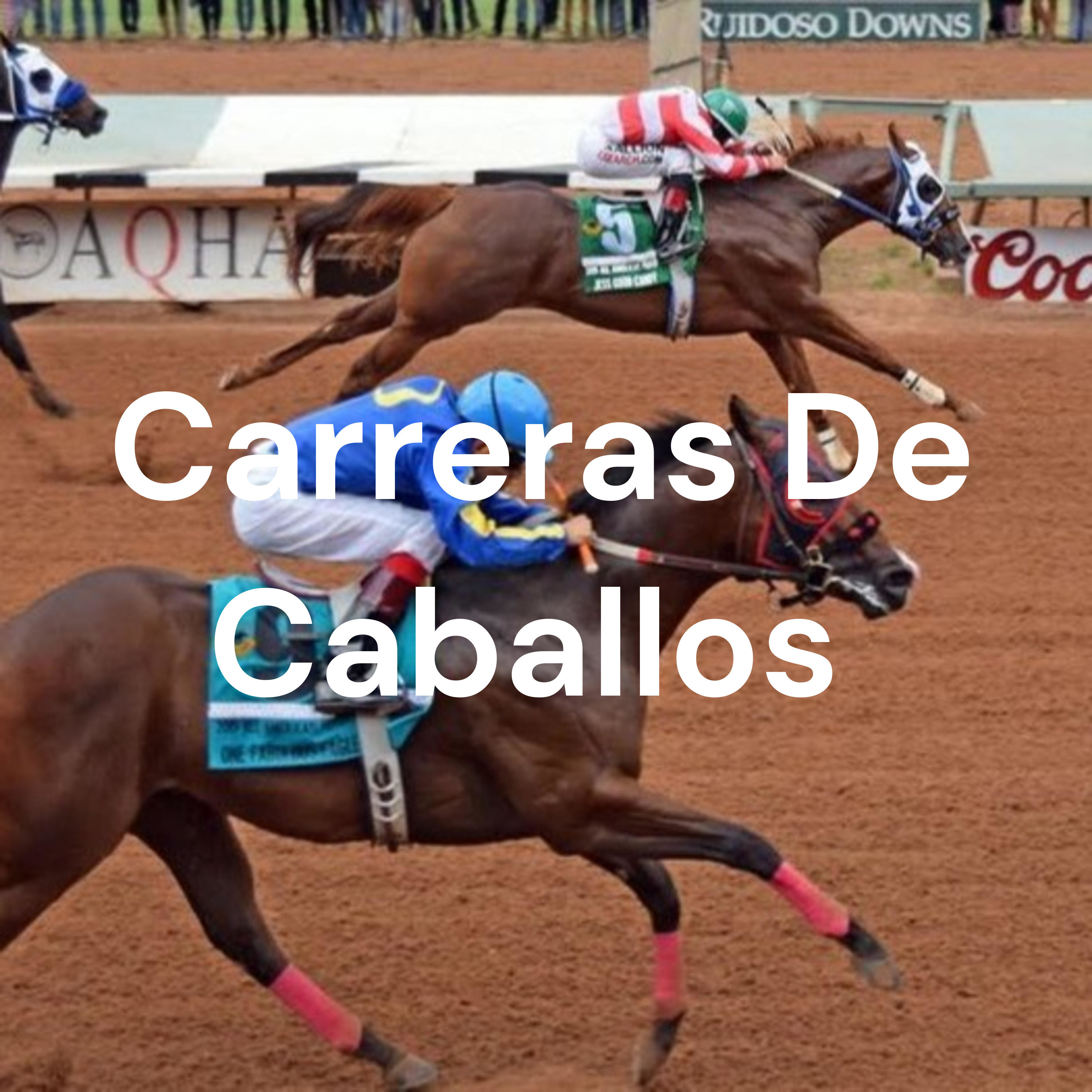 Carreras De Caballos 