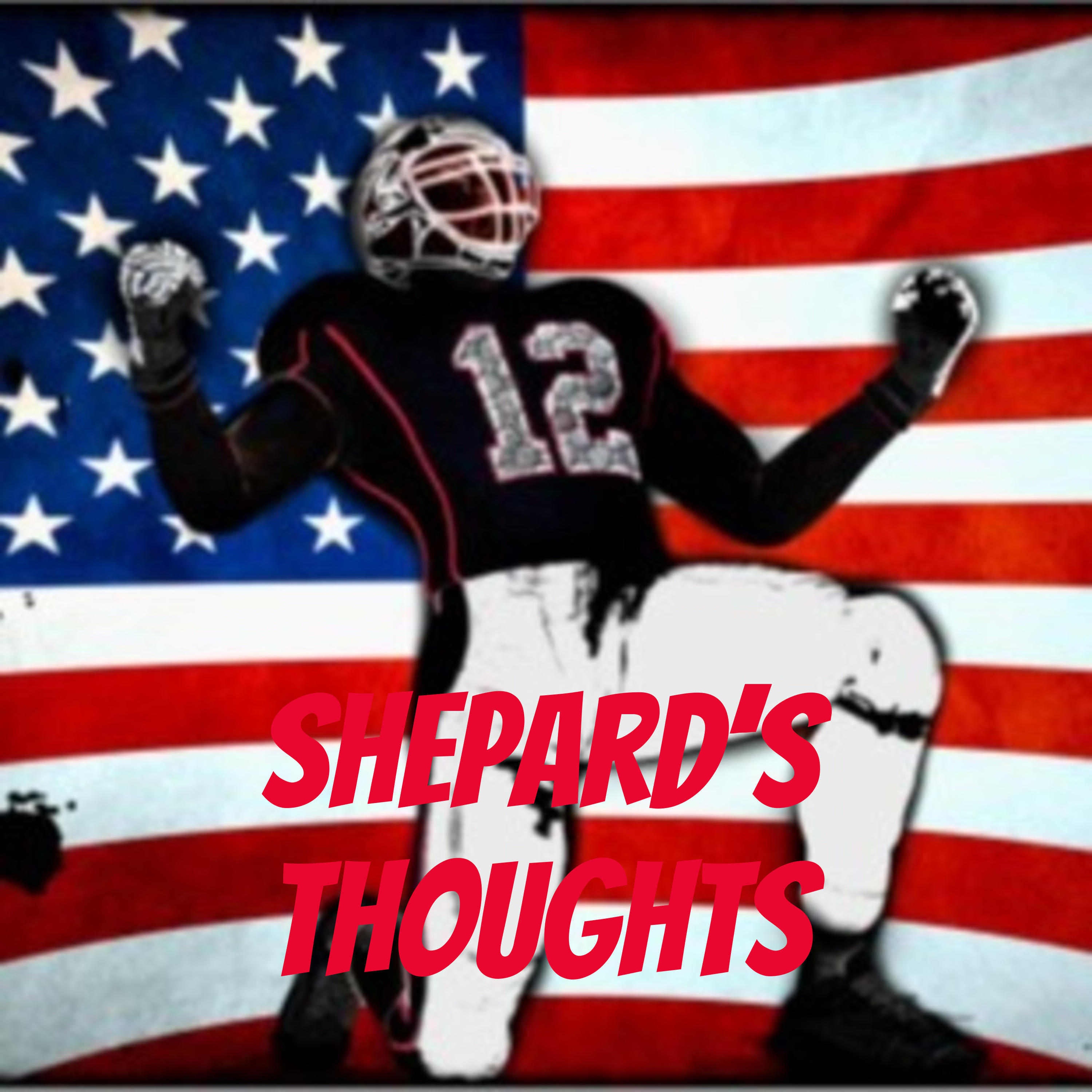 Shepard's Thoughts