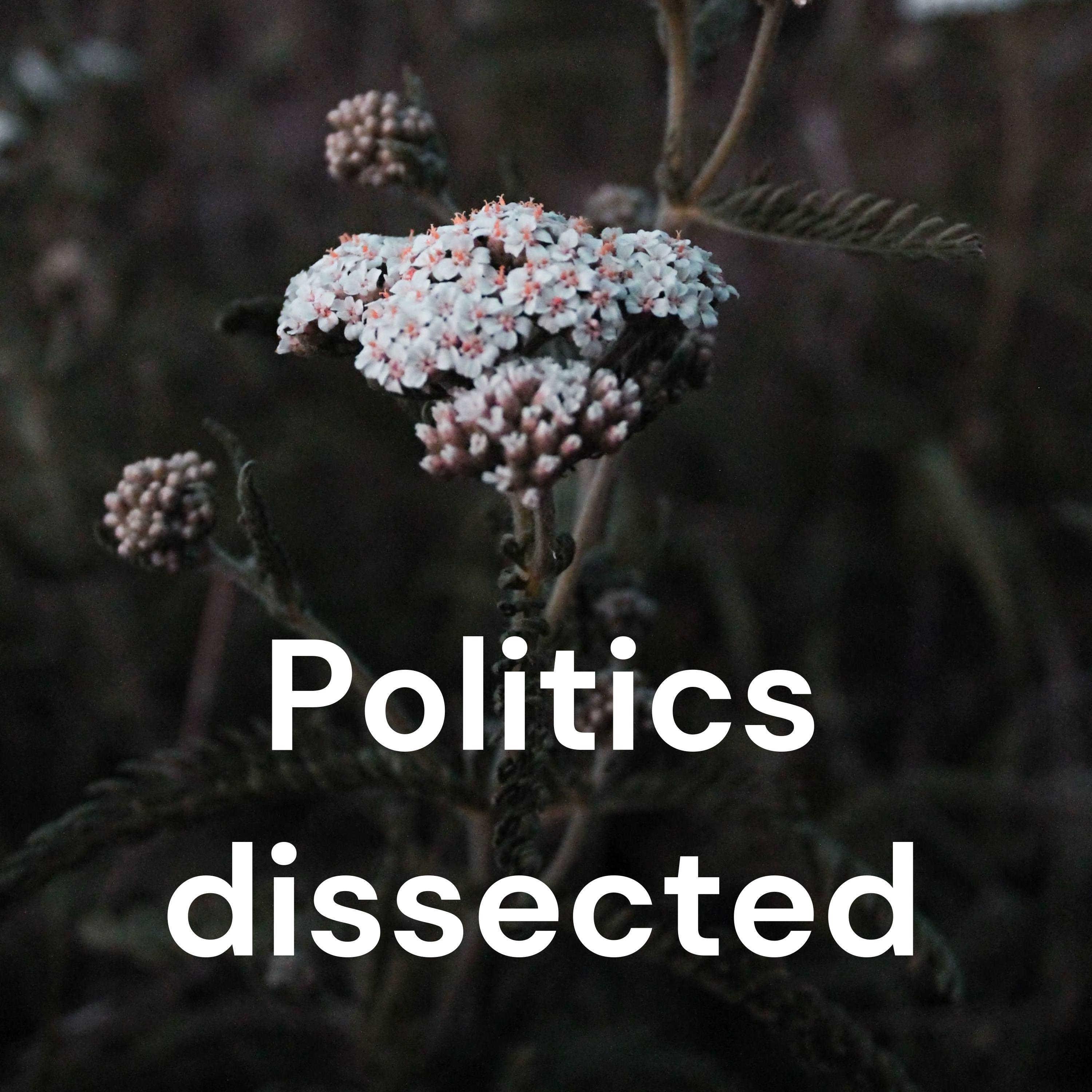 Politics dissected