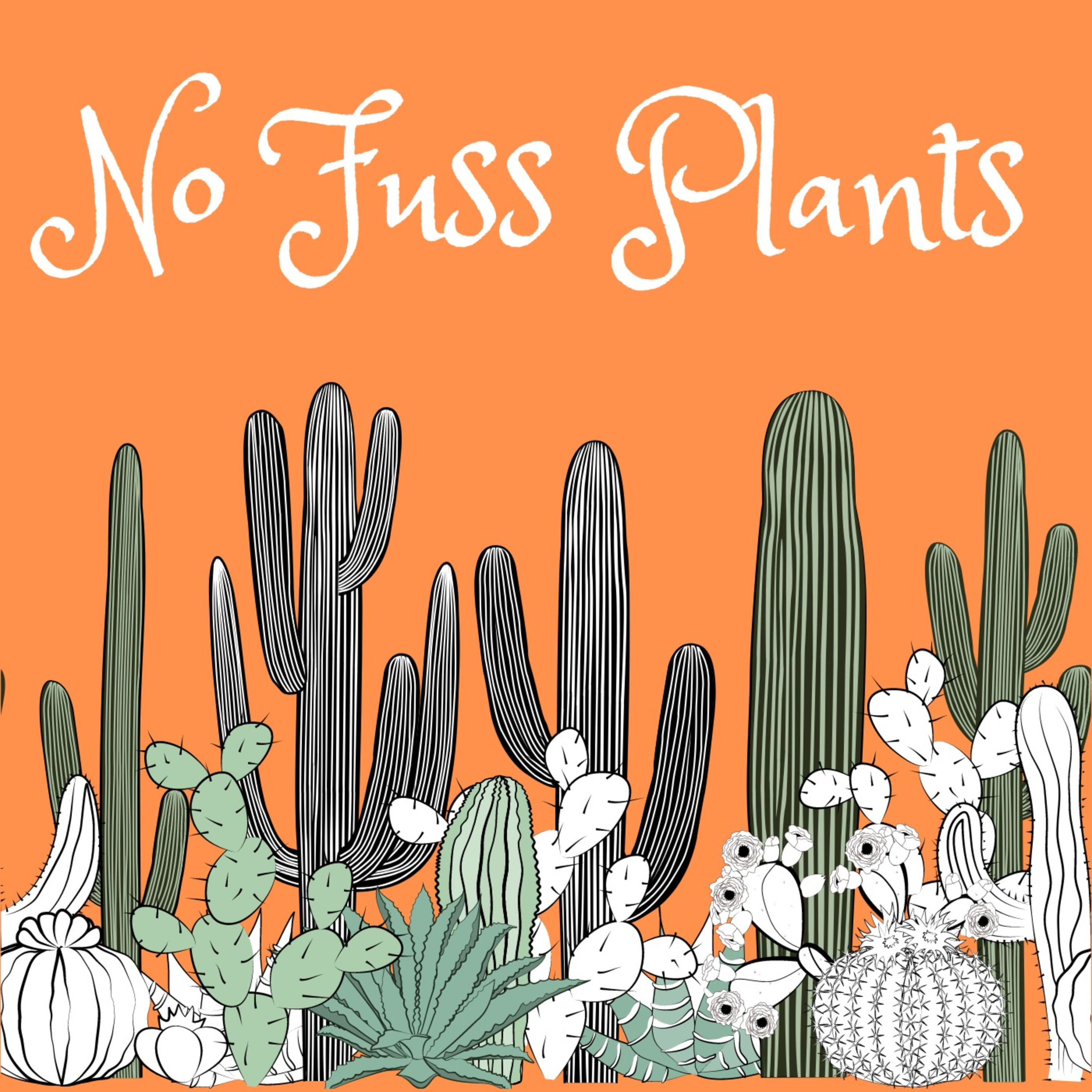 No Fuss Plants