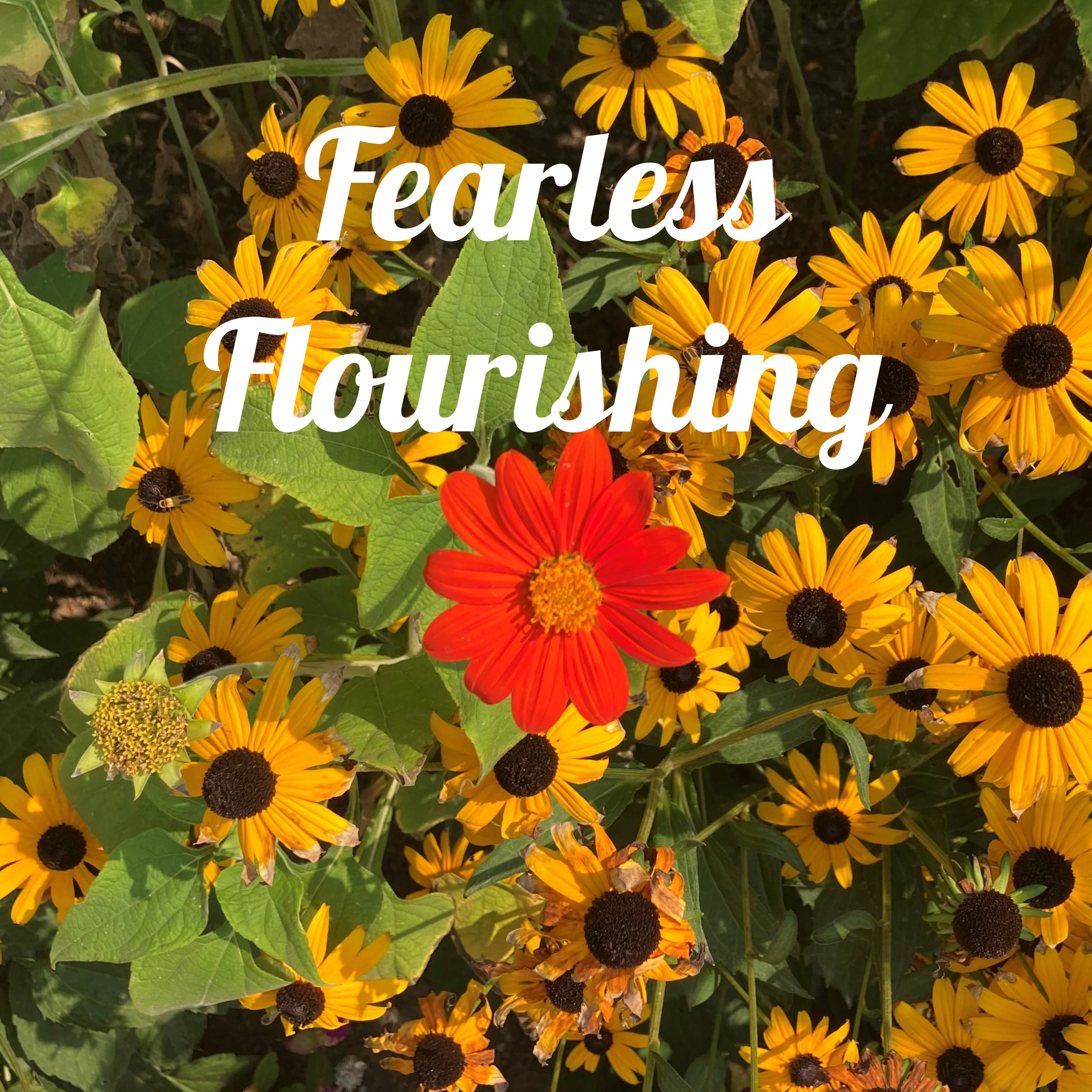 Fearless Flourishing