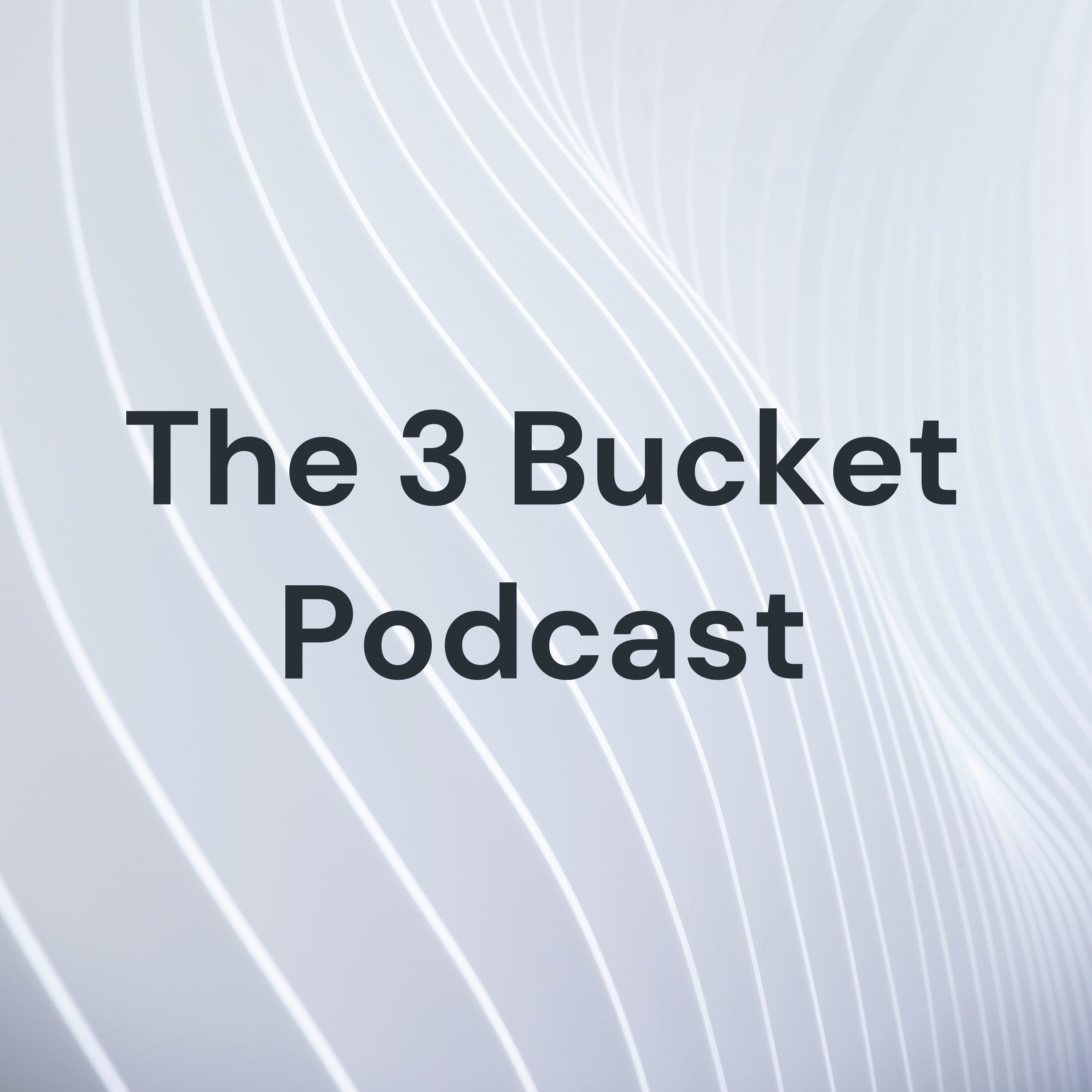 The 3 Bucket Podcast - Aditya Dewan.