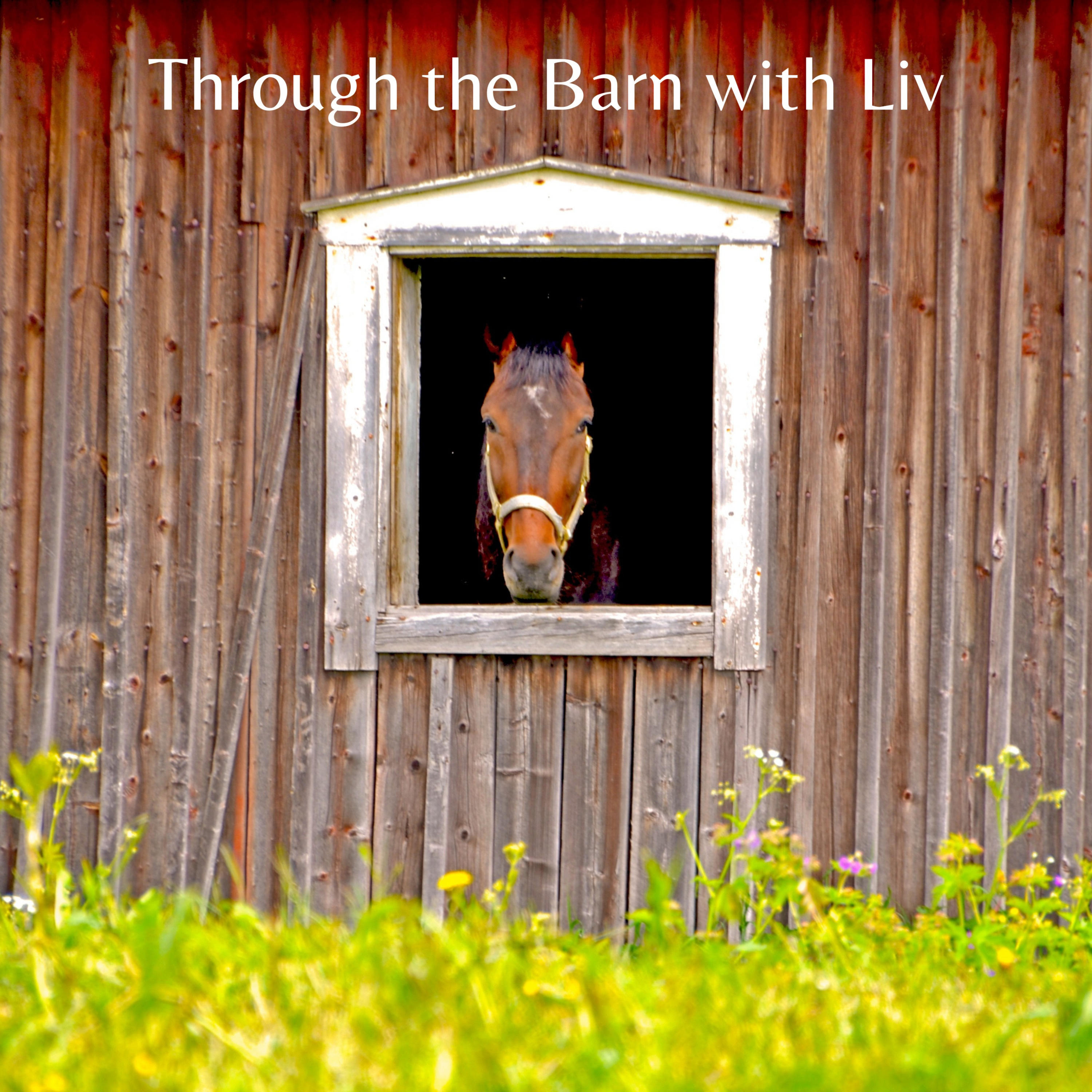 Through the Barn with Liv