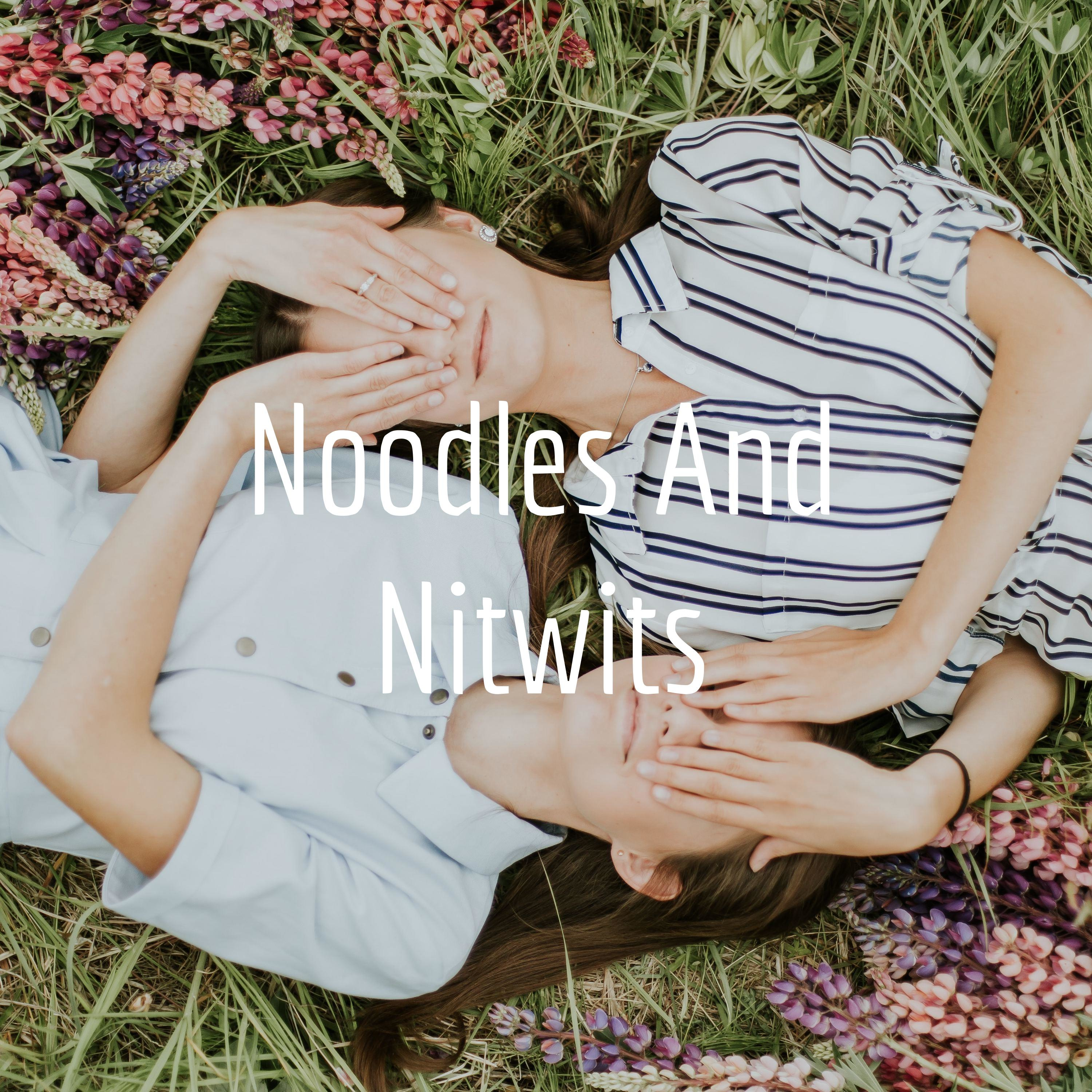 Noodles And Nitwits
