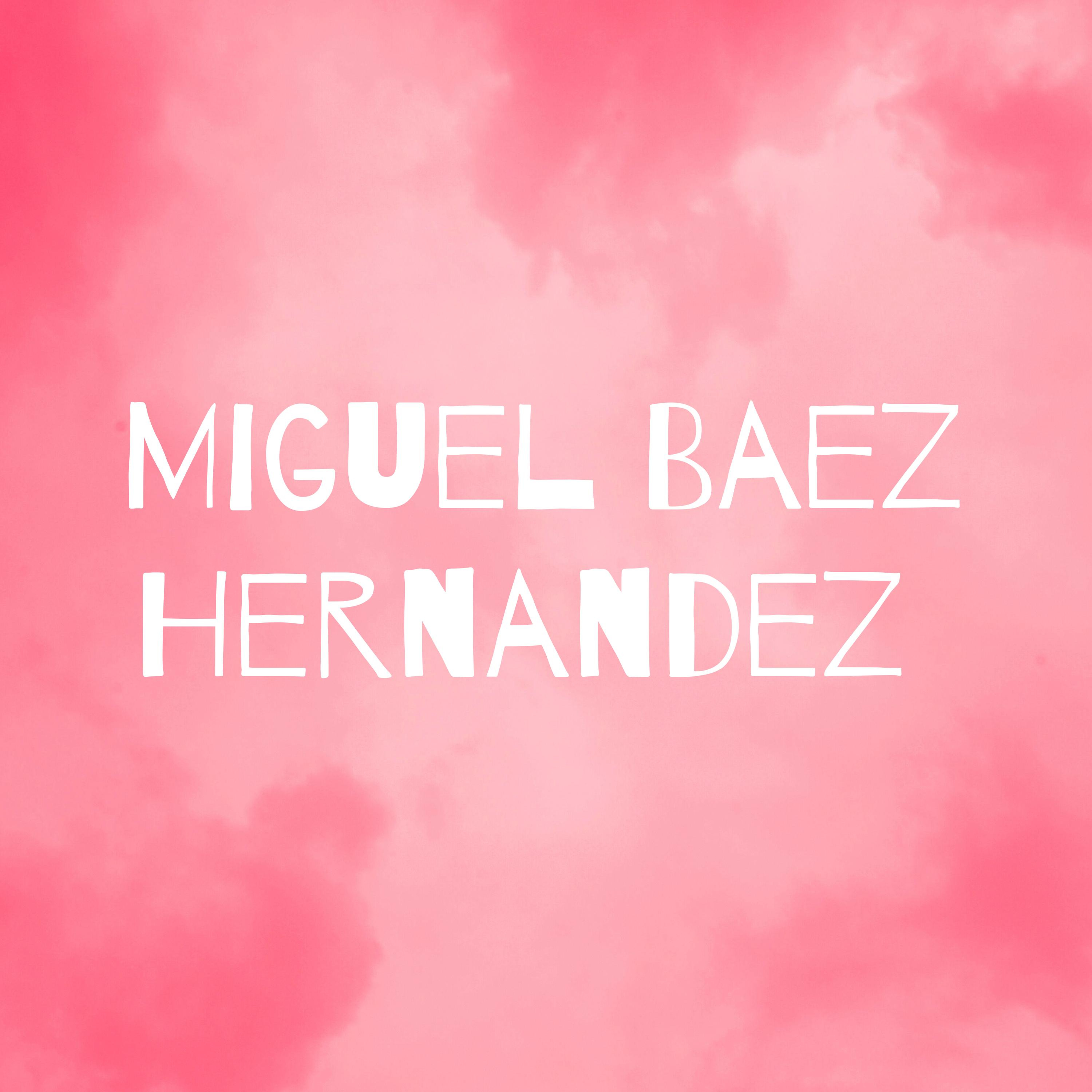 Miguel Baez Hernandez
