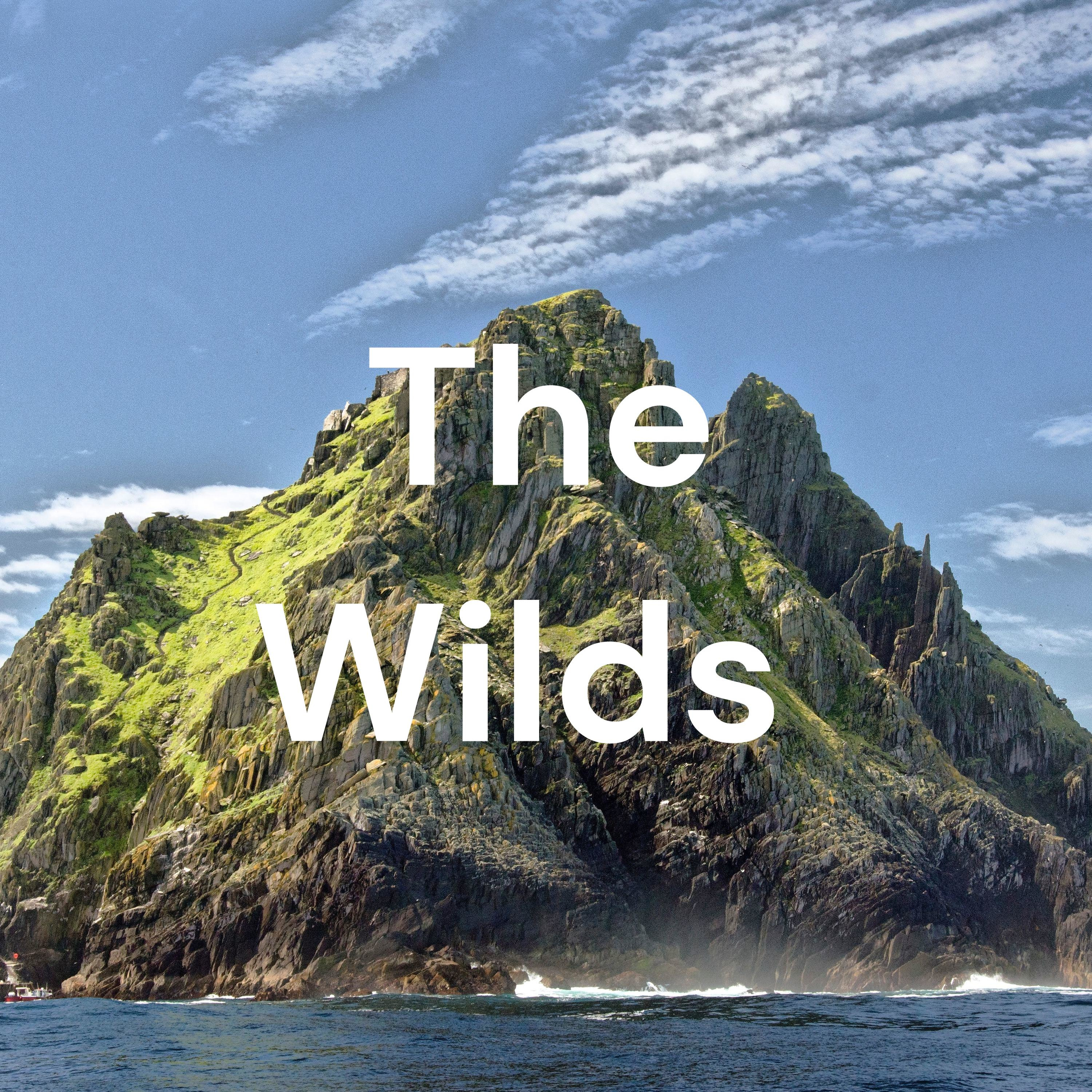 The Wilds