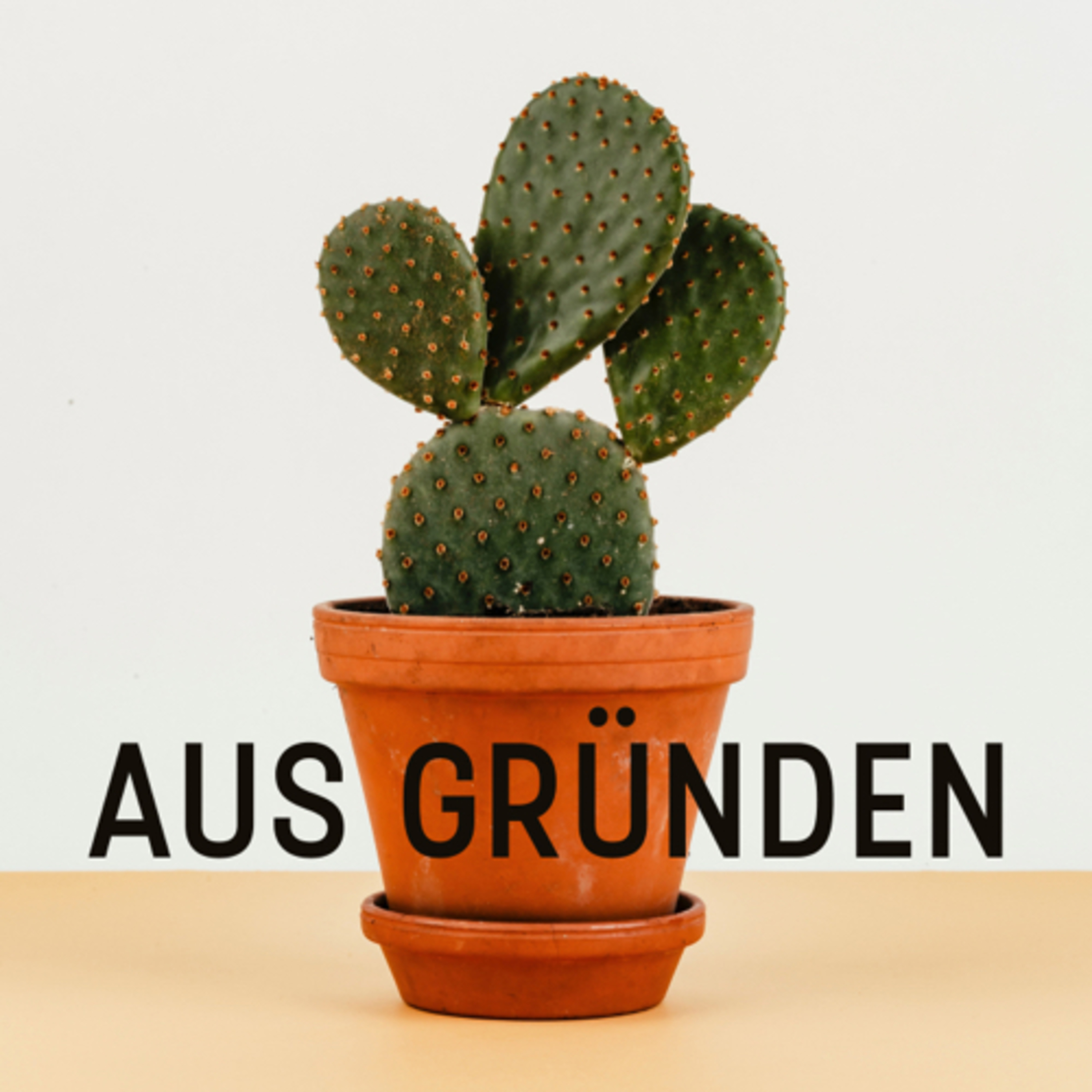 Aus Gründen