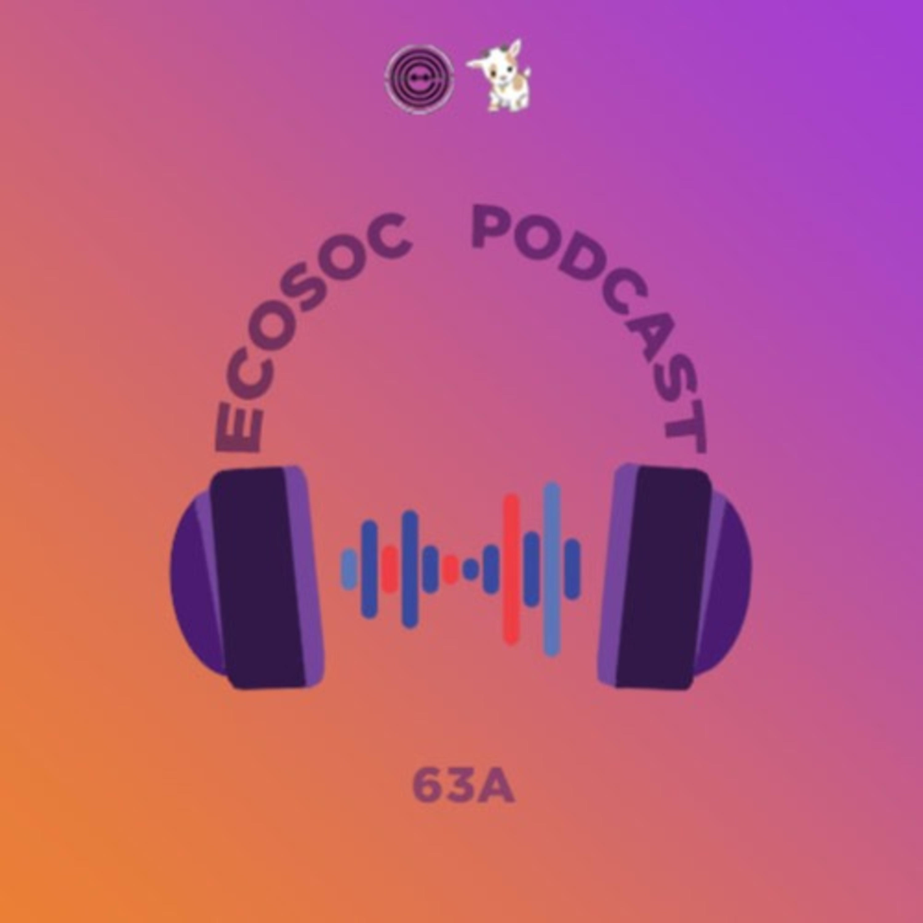 Ecosoc Podcast
