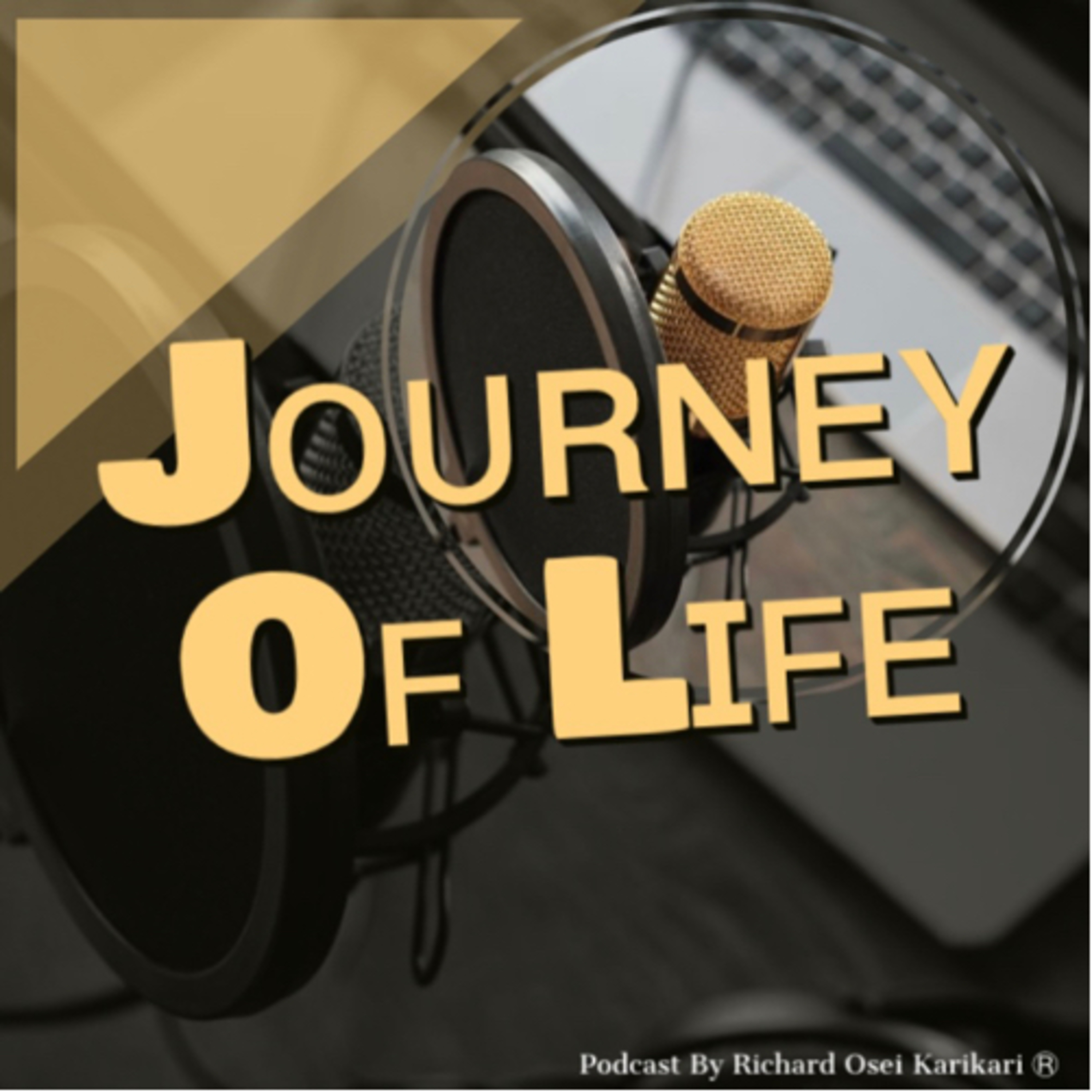 ᴊᴏᴜʀɴᴇʏ ᴏғ ʟɪғᴇ 🎙 podcast artwork