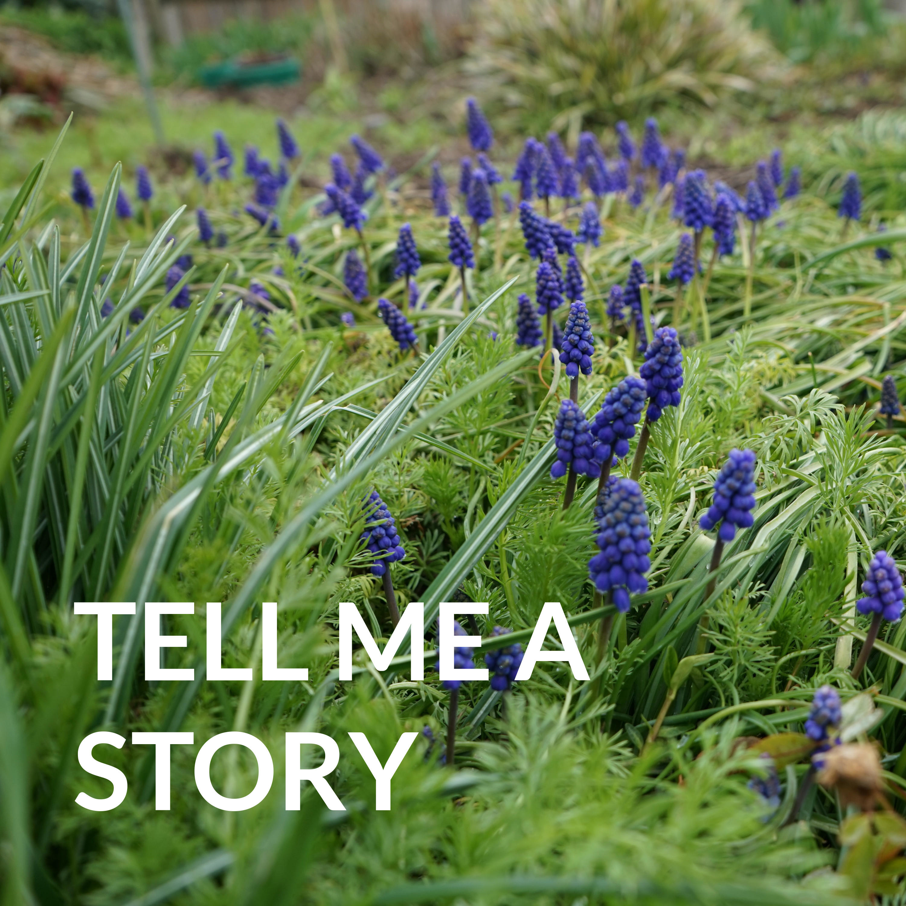 TELL ME A STORY - the storytelling podcast