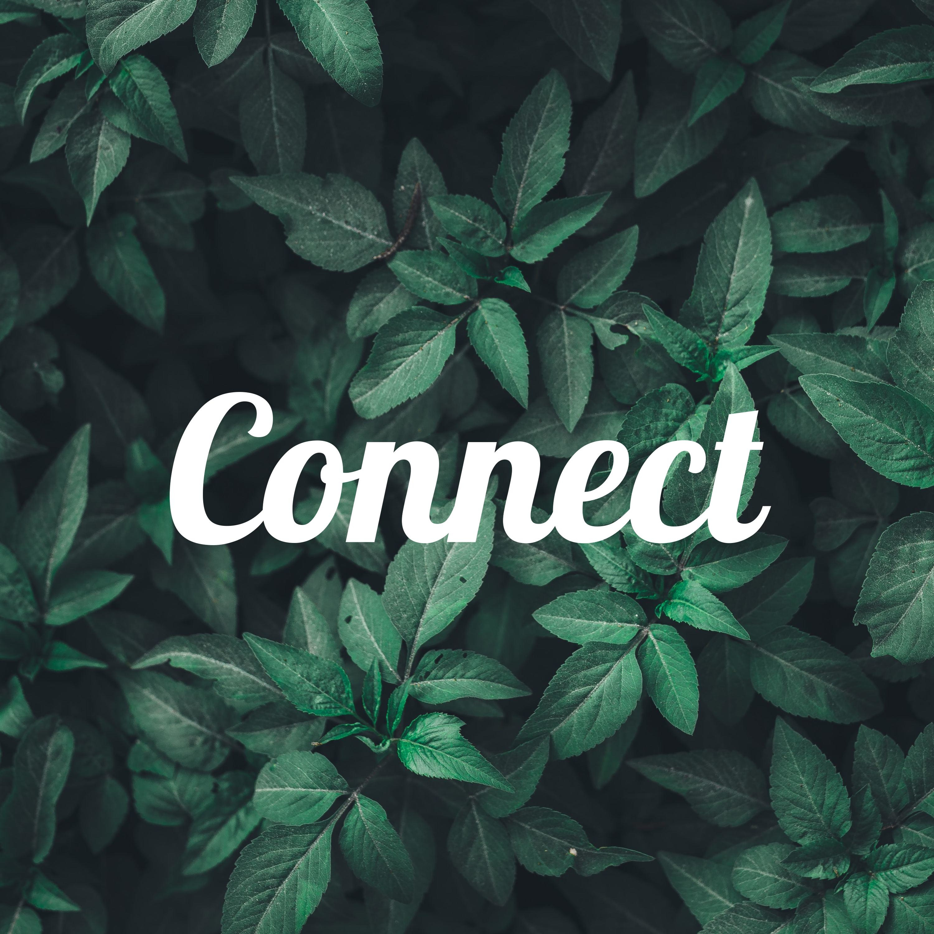 Connect
