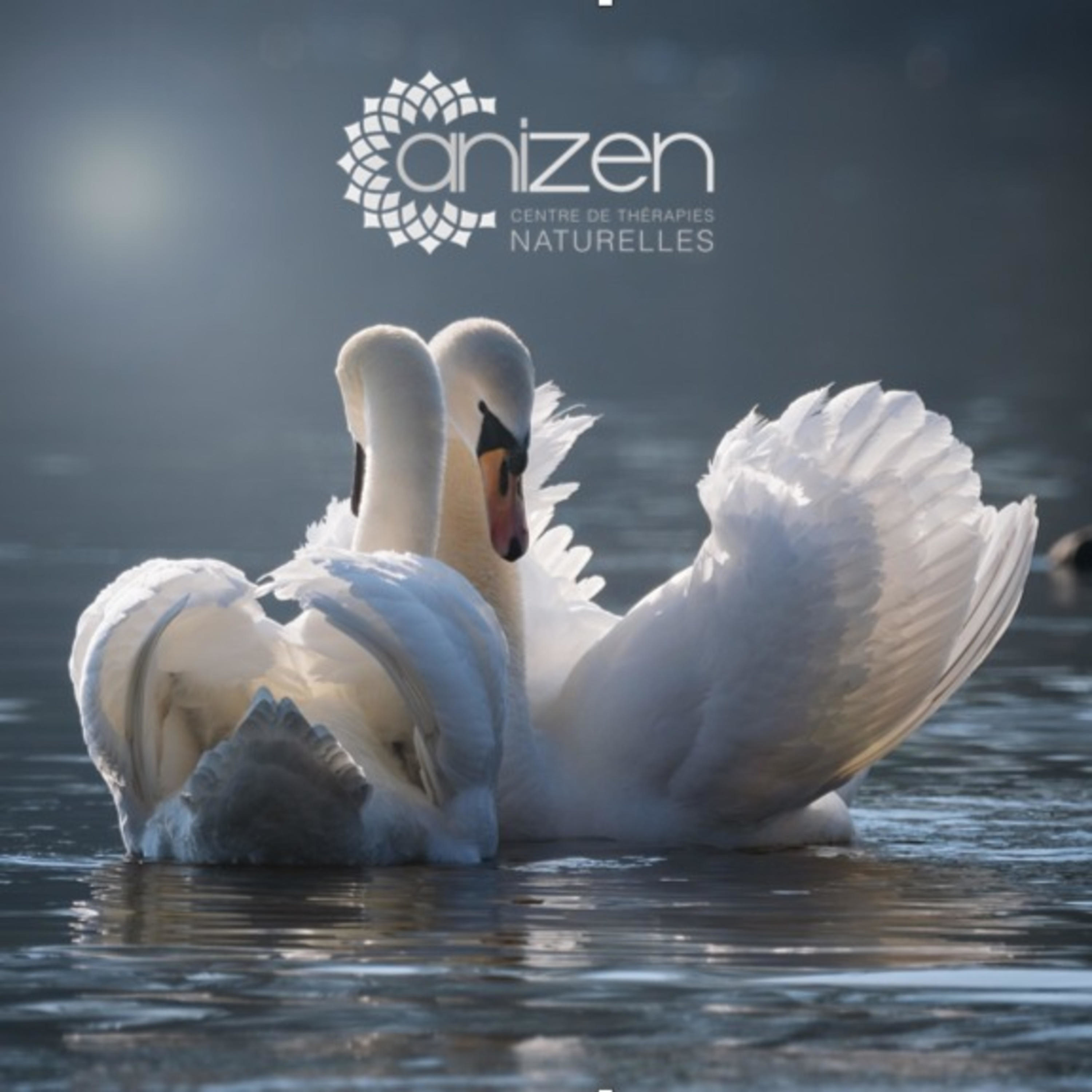 L'hypersensibilité par Anizen