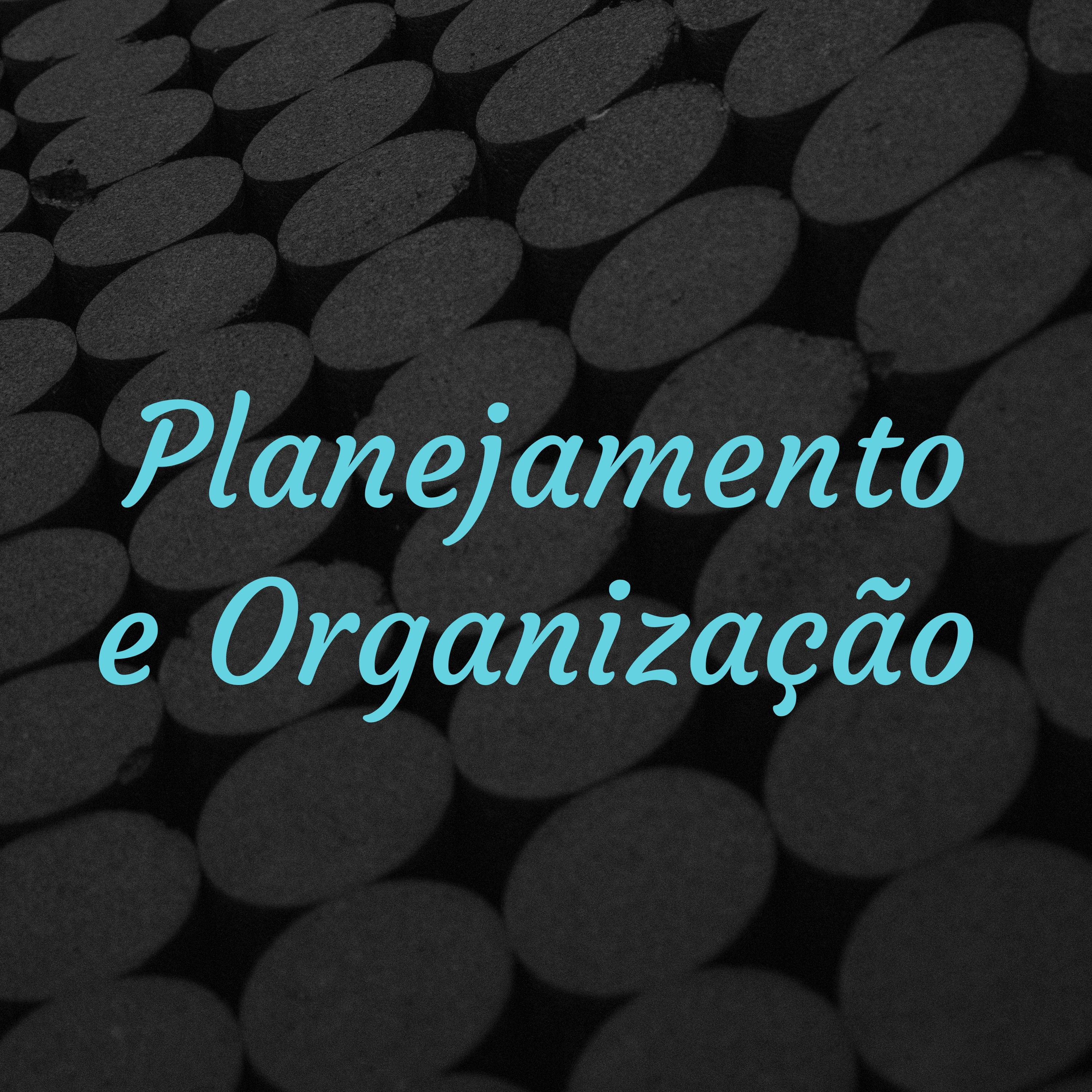 Planejamento e Organização podcast artwork