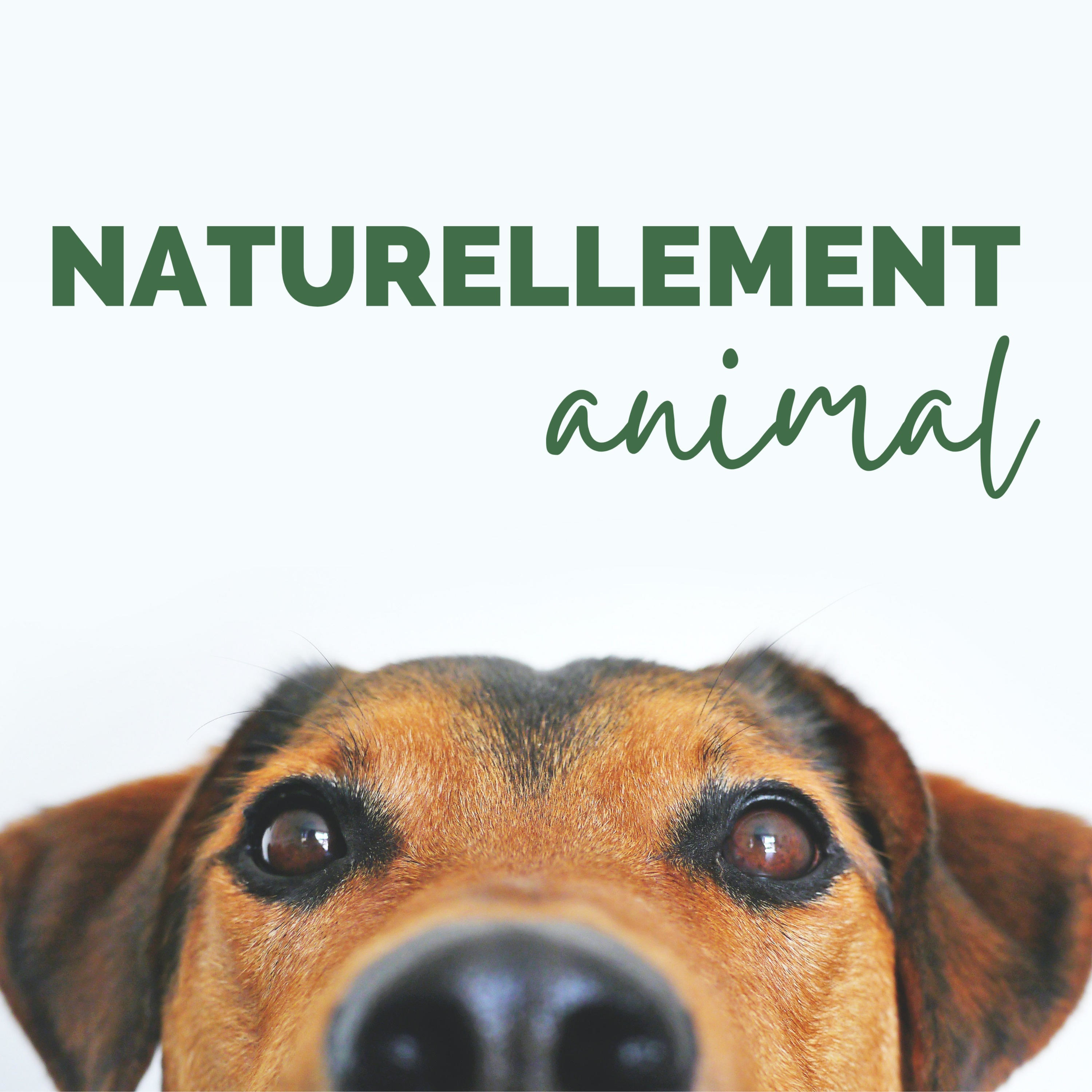 Naturellement Animal