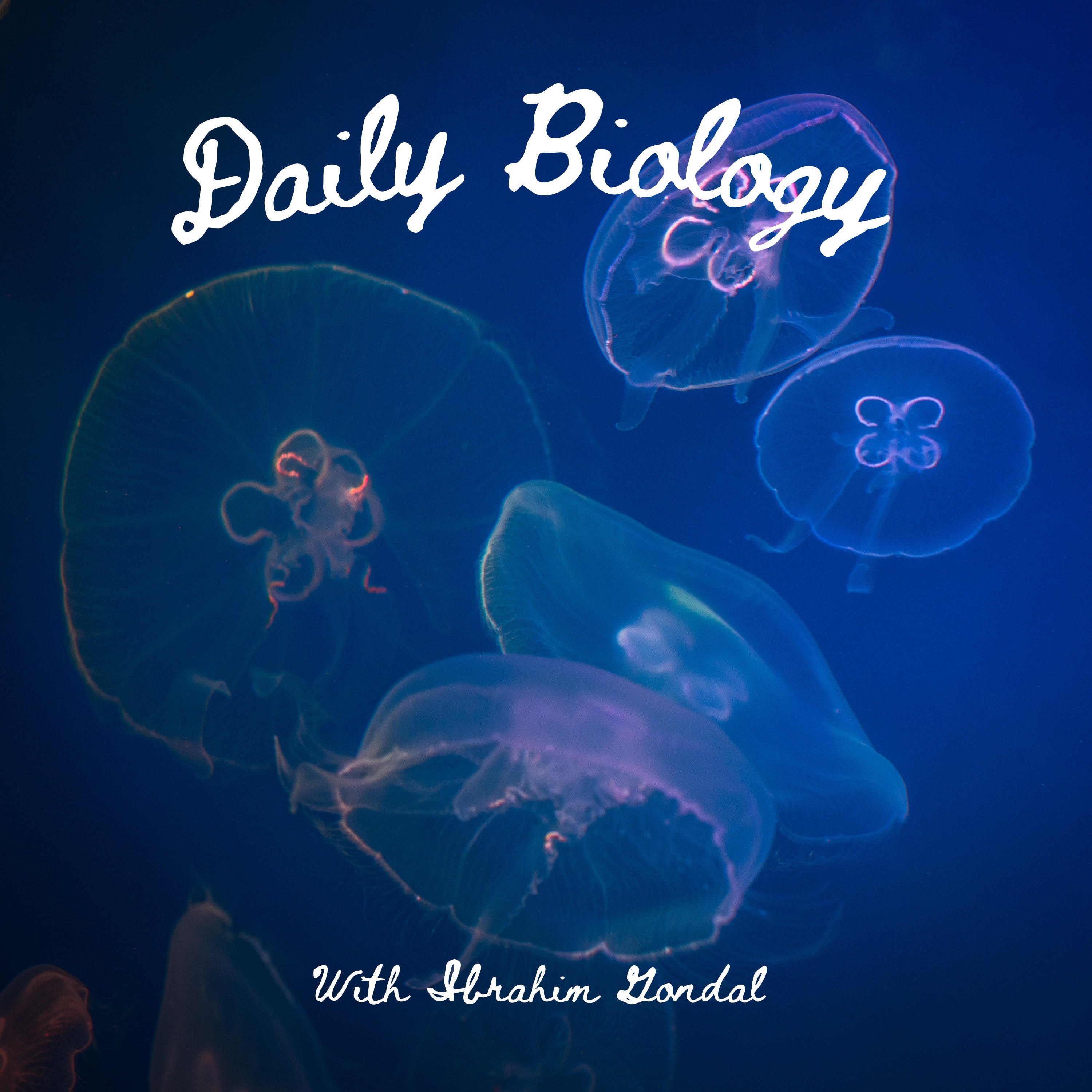 Daily Biology 
