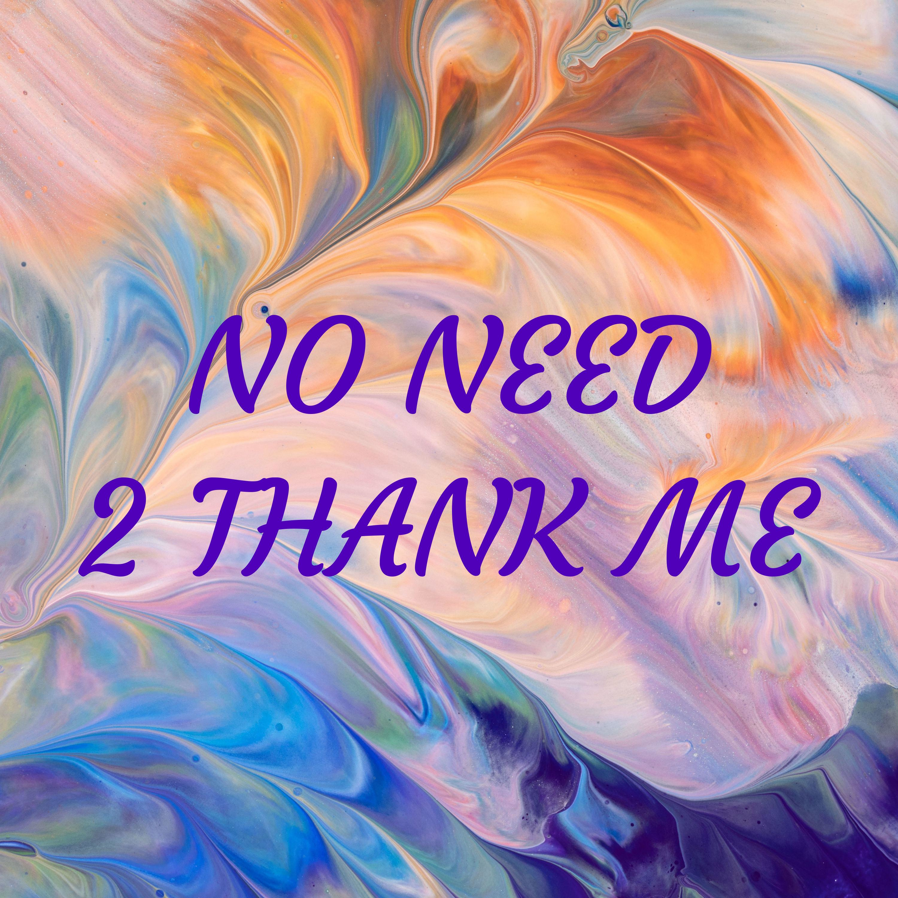 NO NEED 2 THANK ME cover art