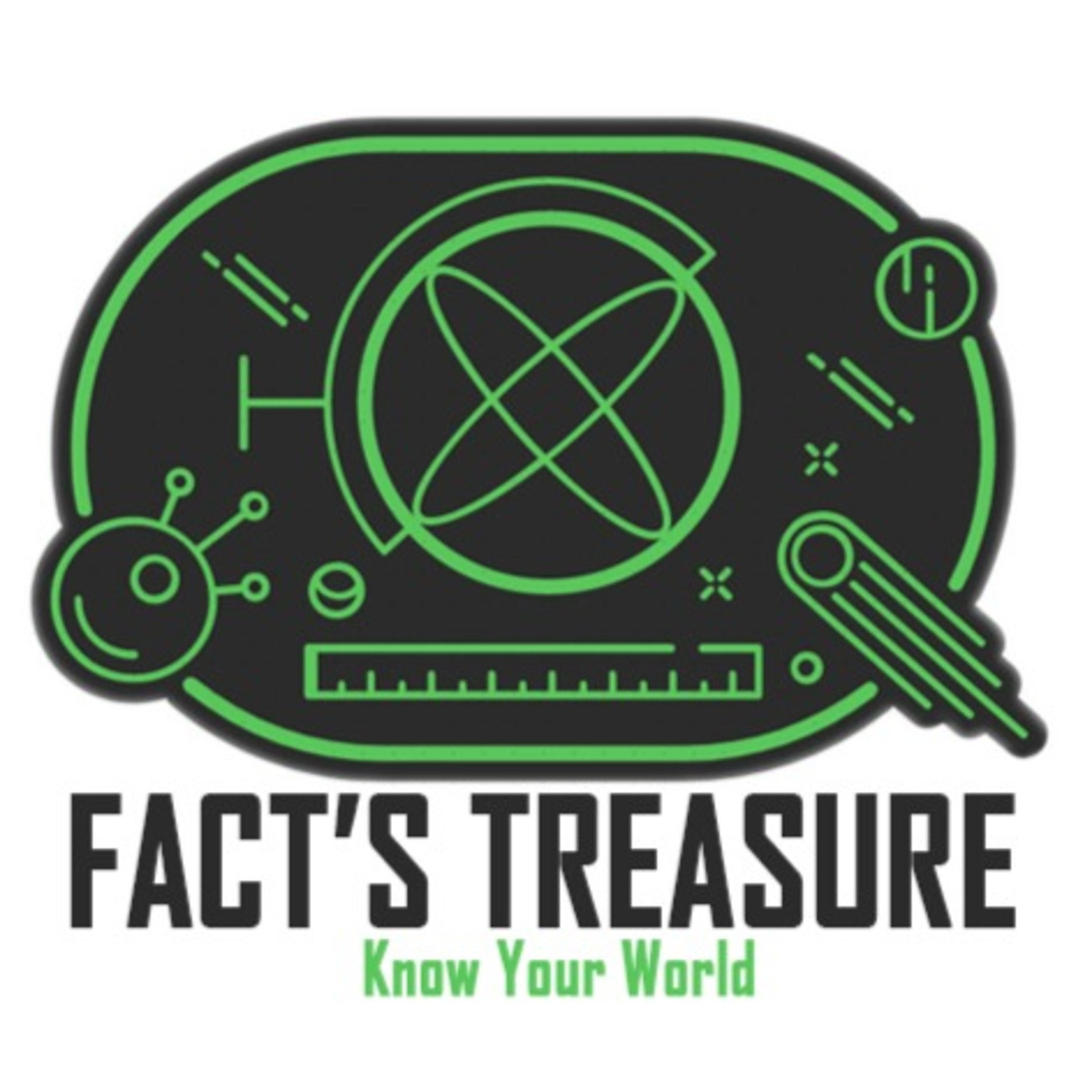fact's treasure cover art