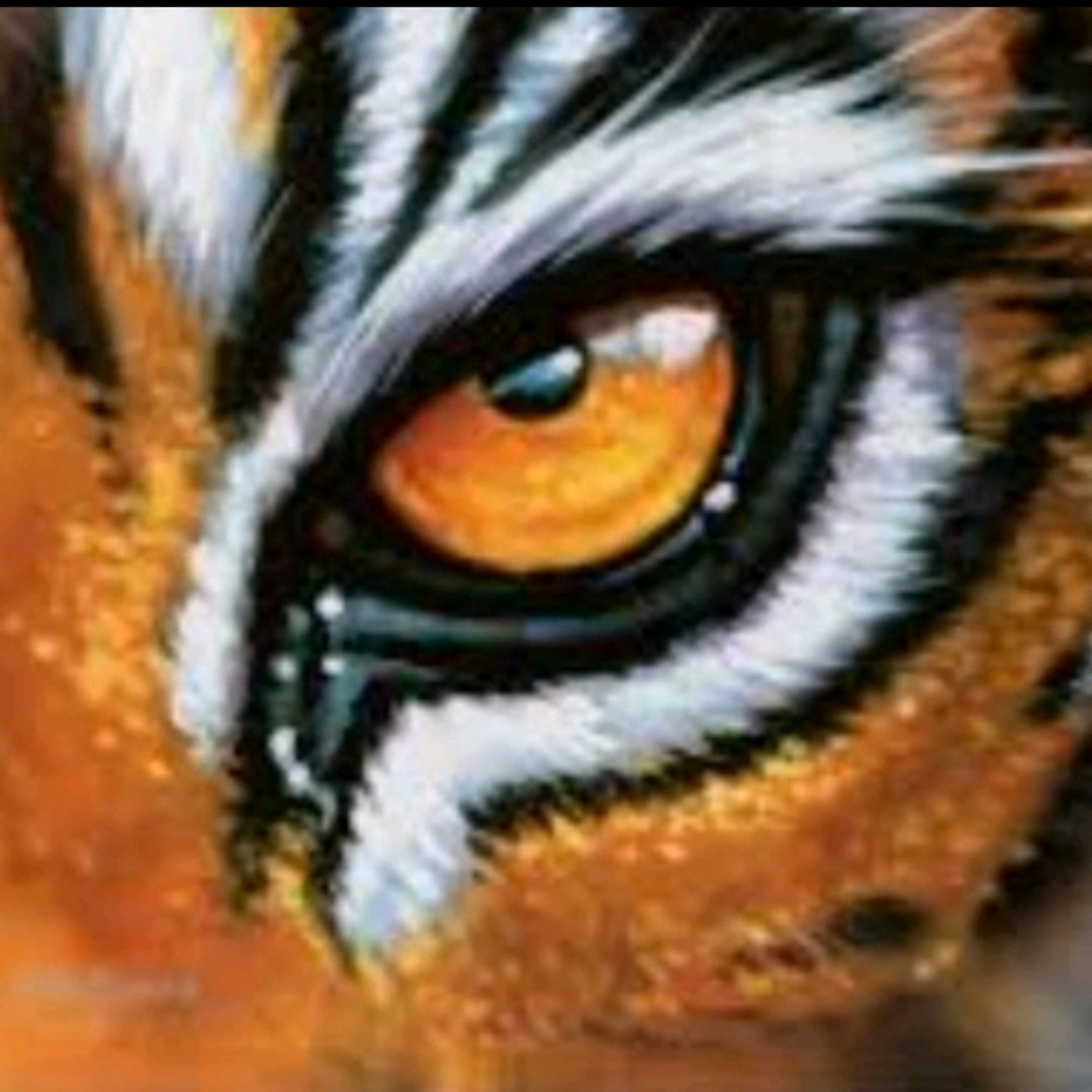 Queen Of The Jungle ⚔️ 