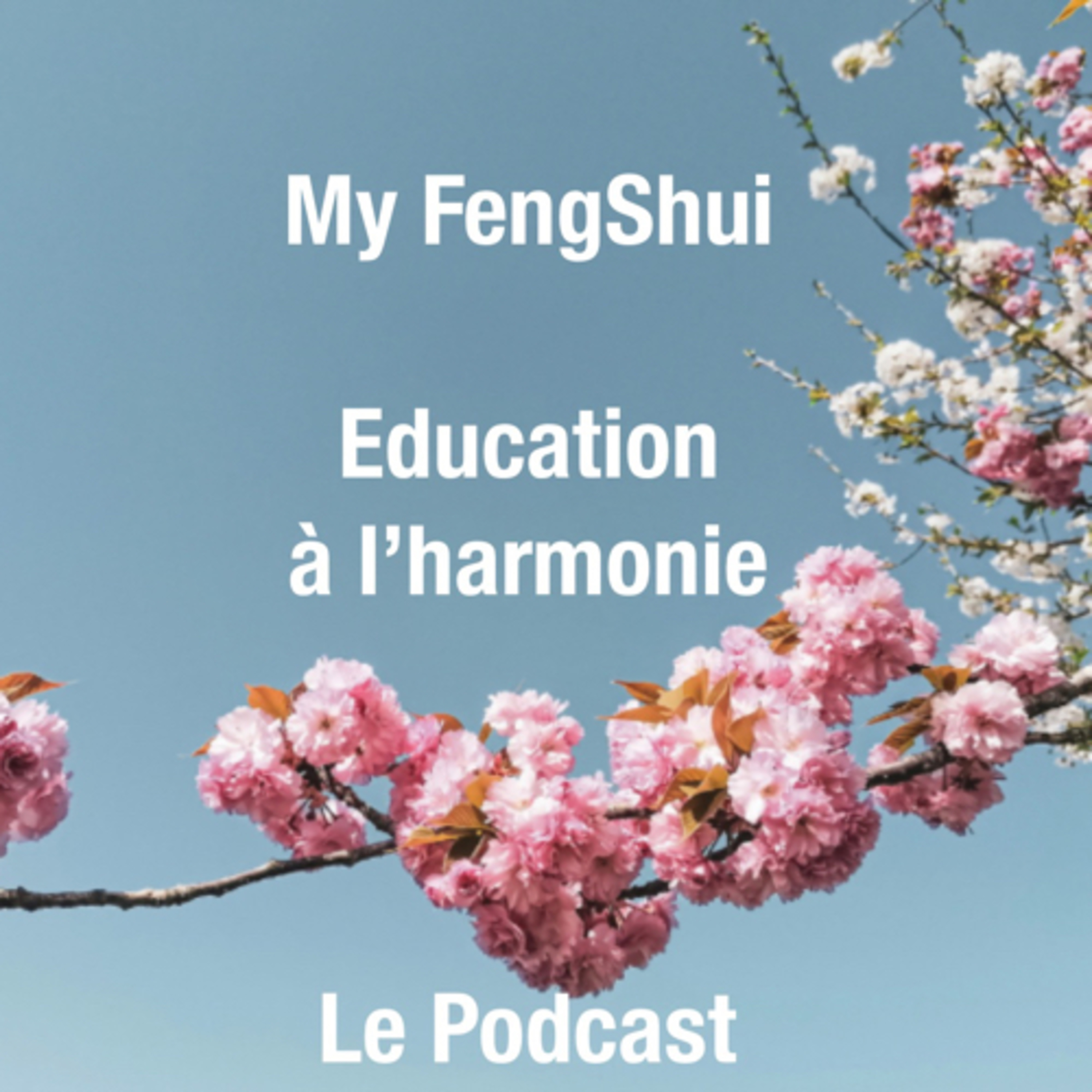My Feng Shui - Harmoniser son intérieur et sa vie.