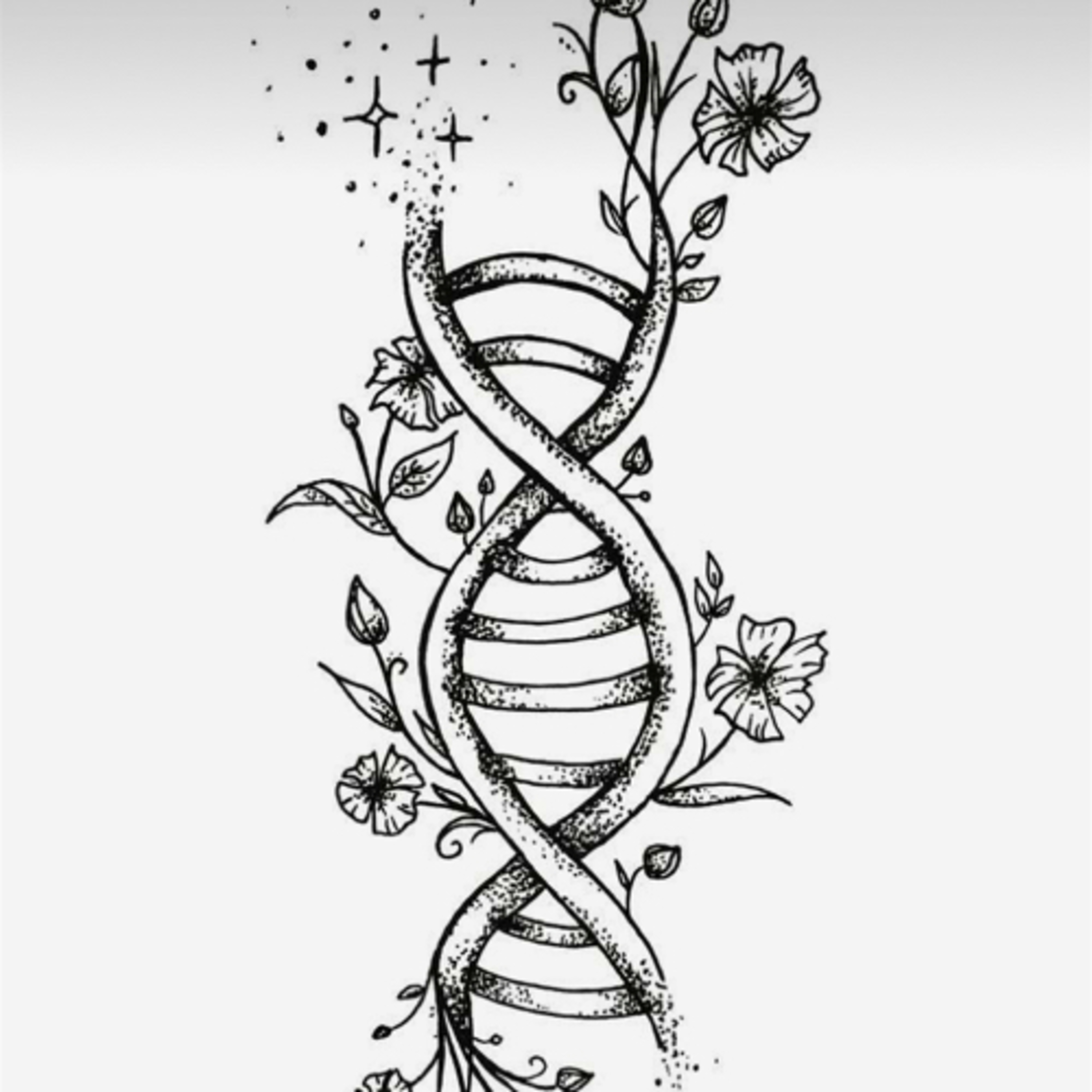 sin nombre cover art