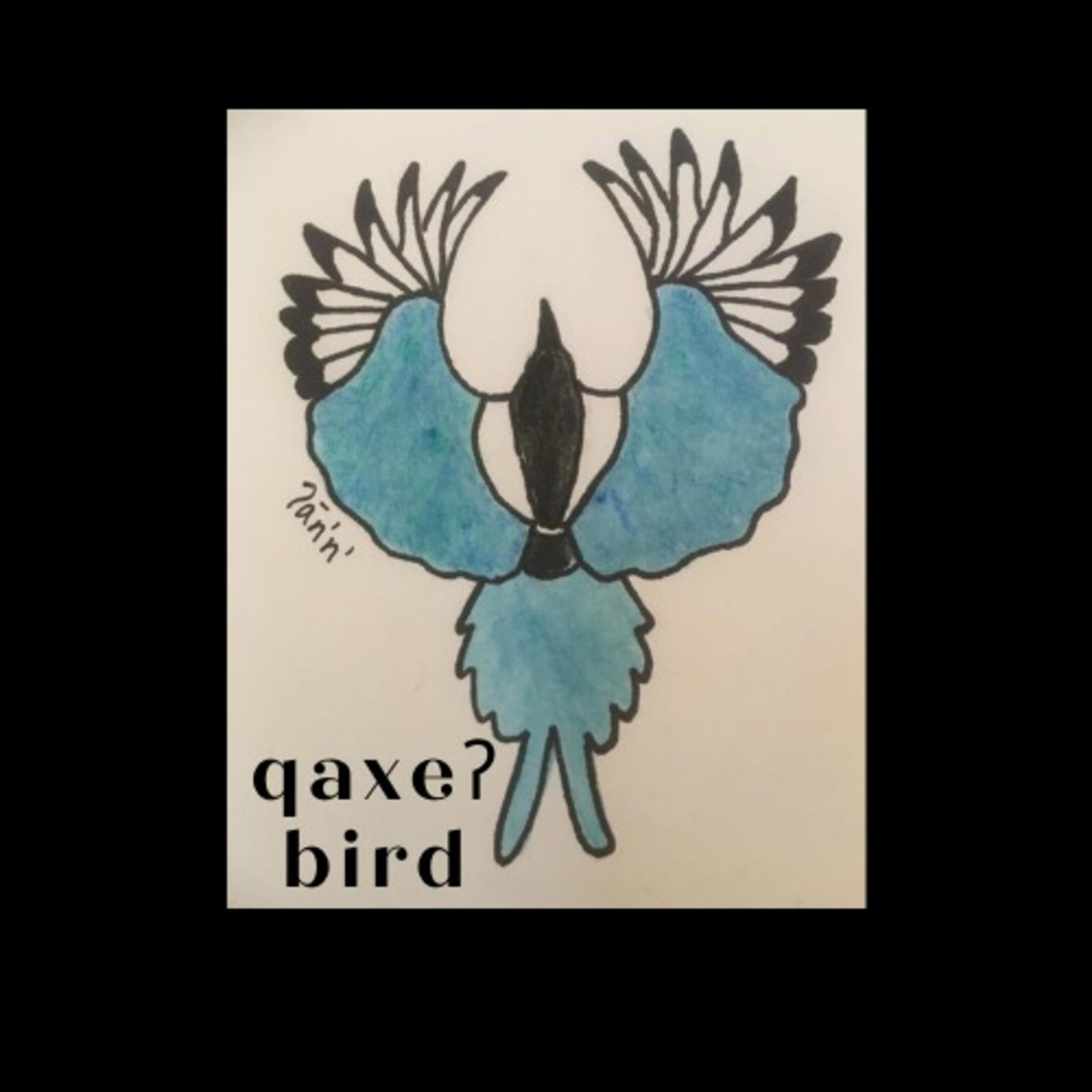 qaxeʔ bird