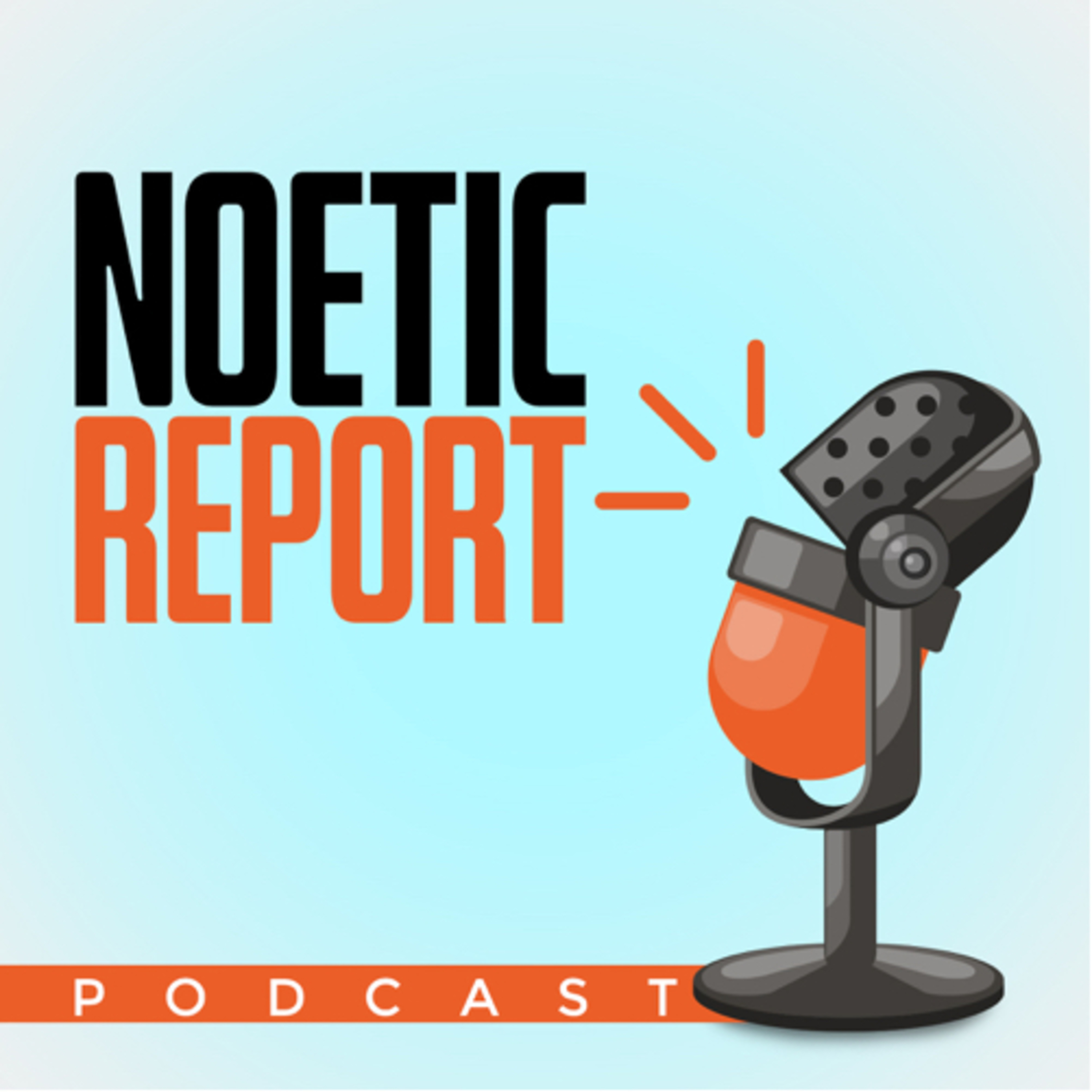 Noetic Report