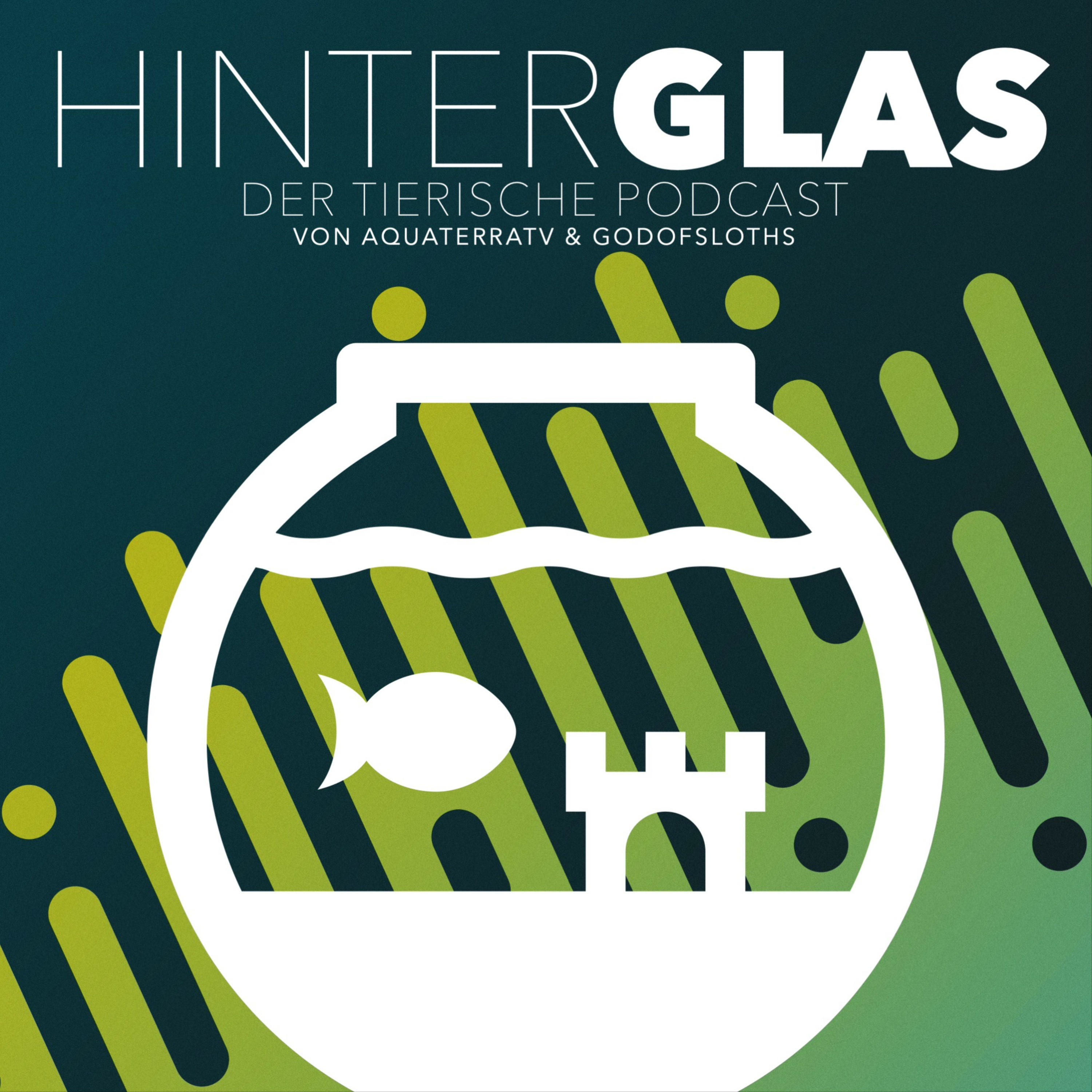 HINTER GLAS - Der tierische Podcast von AquaTerraTV & GodOfSloths