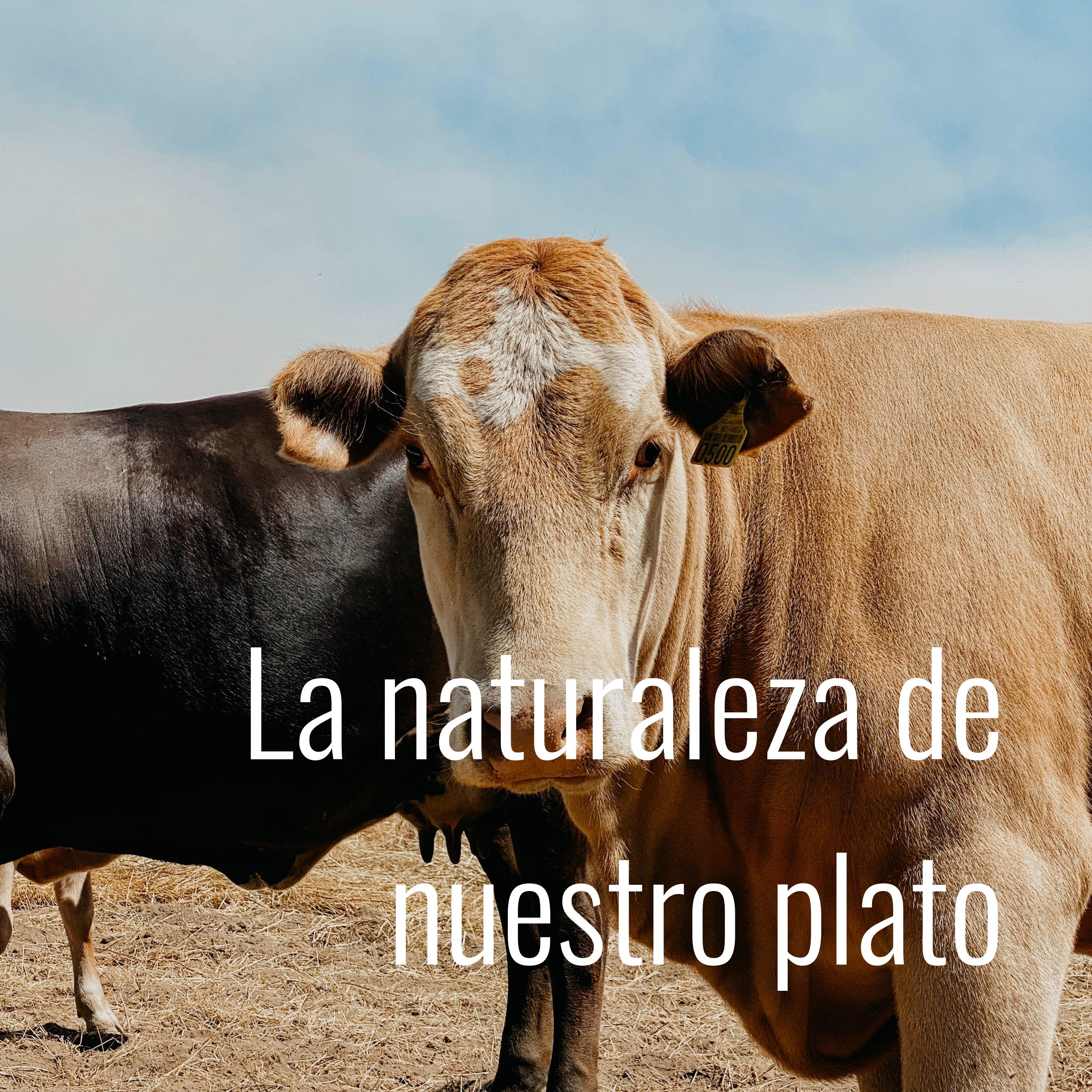 La naturaleza de nuestro plato cover art