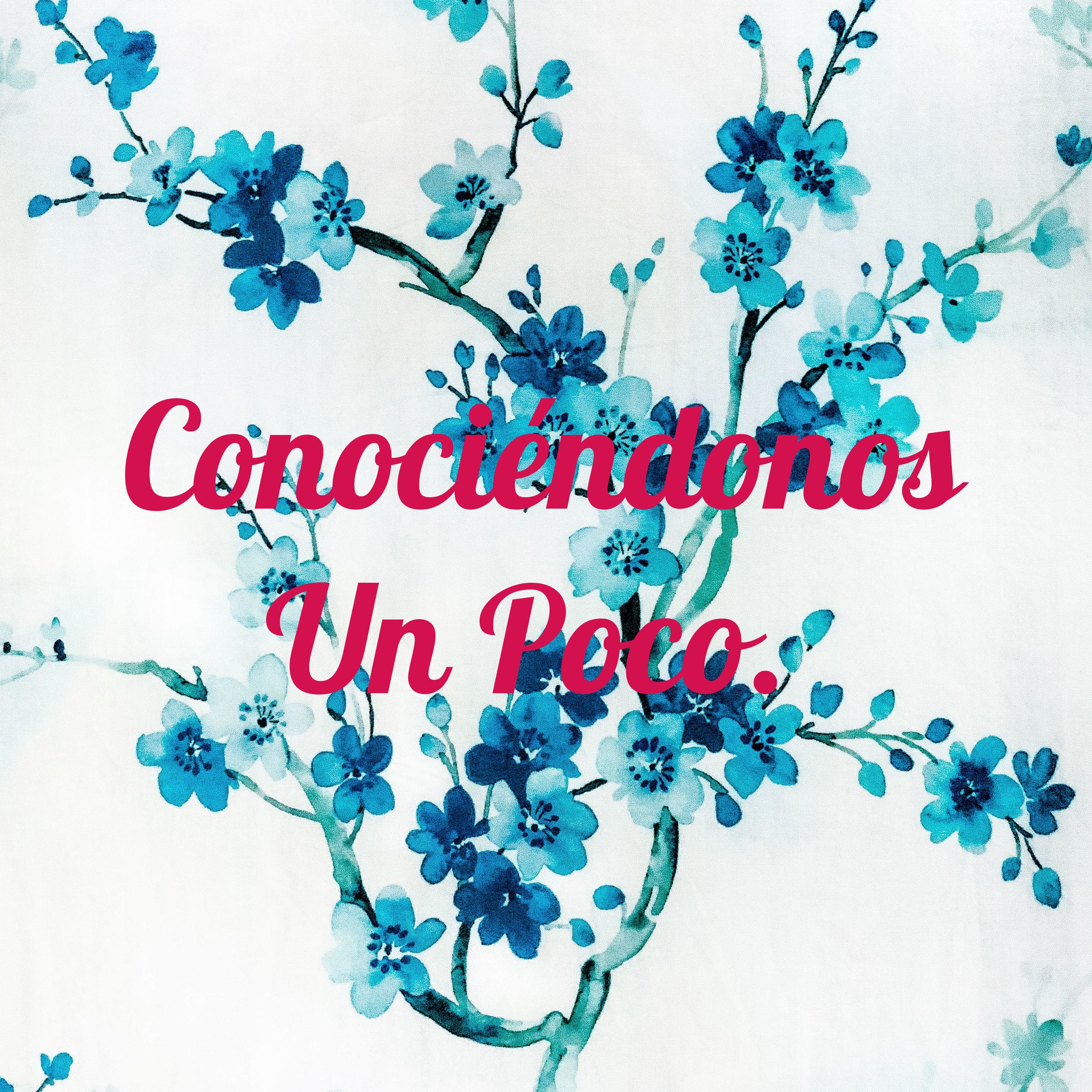 Conociéndonos un poco 