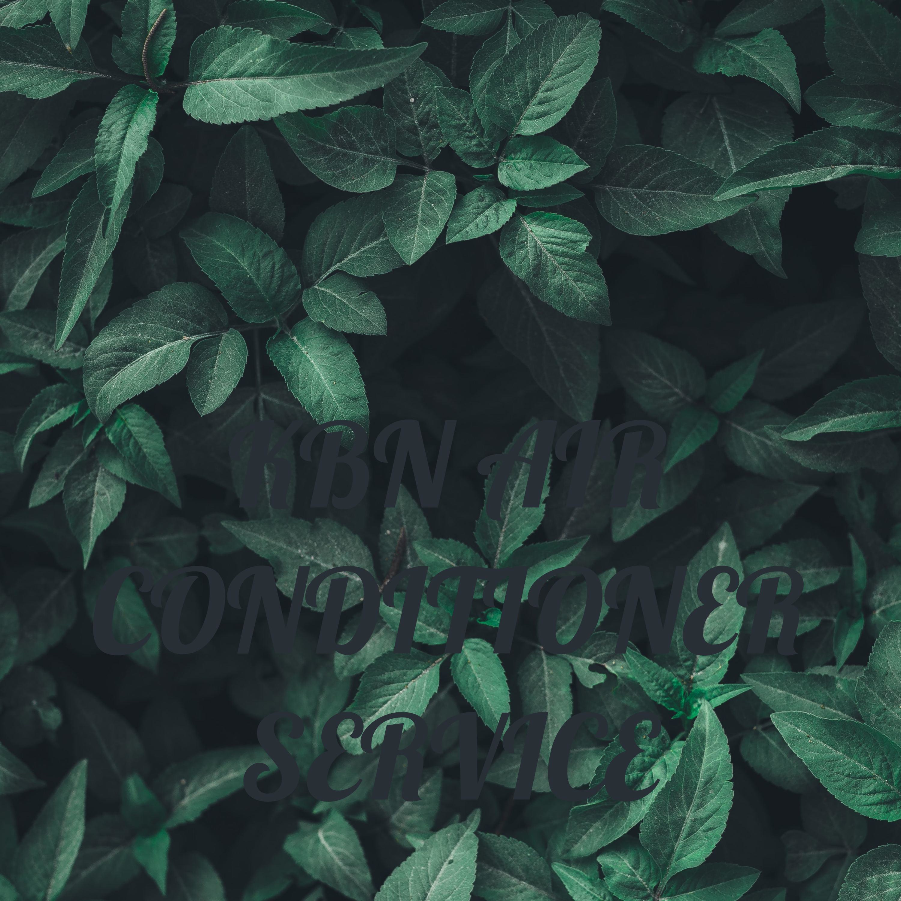 KBN AIR CONDITIONER SERVICE cover art