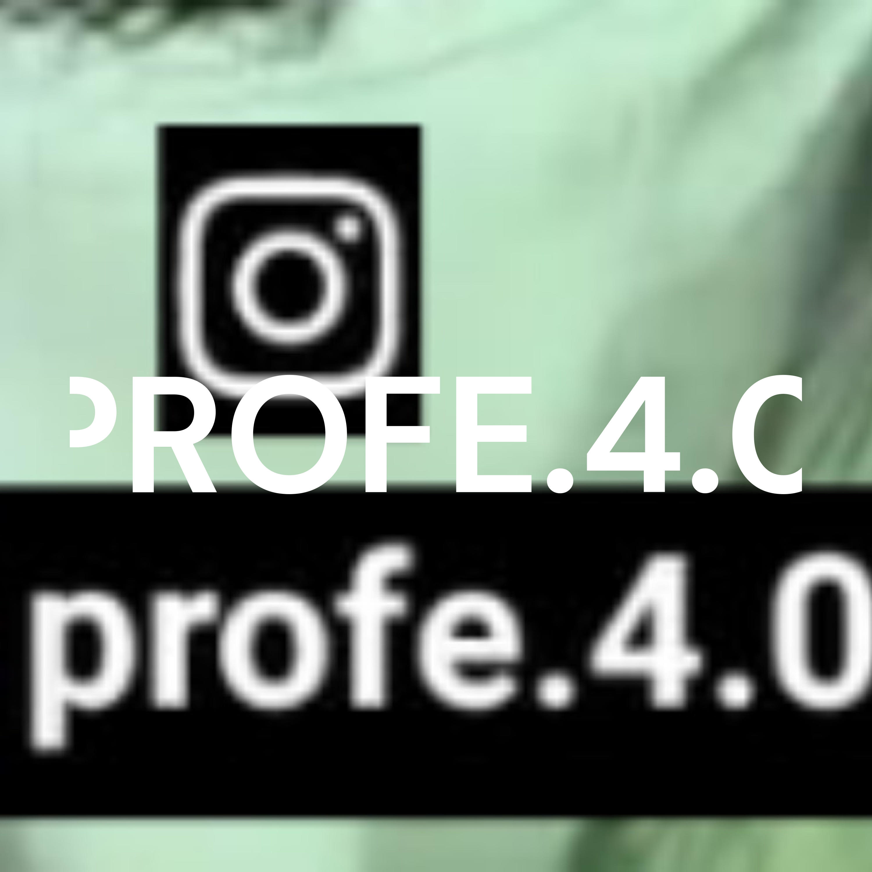 PROFE.4.0