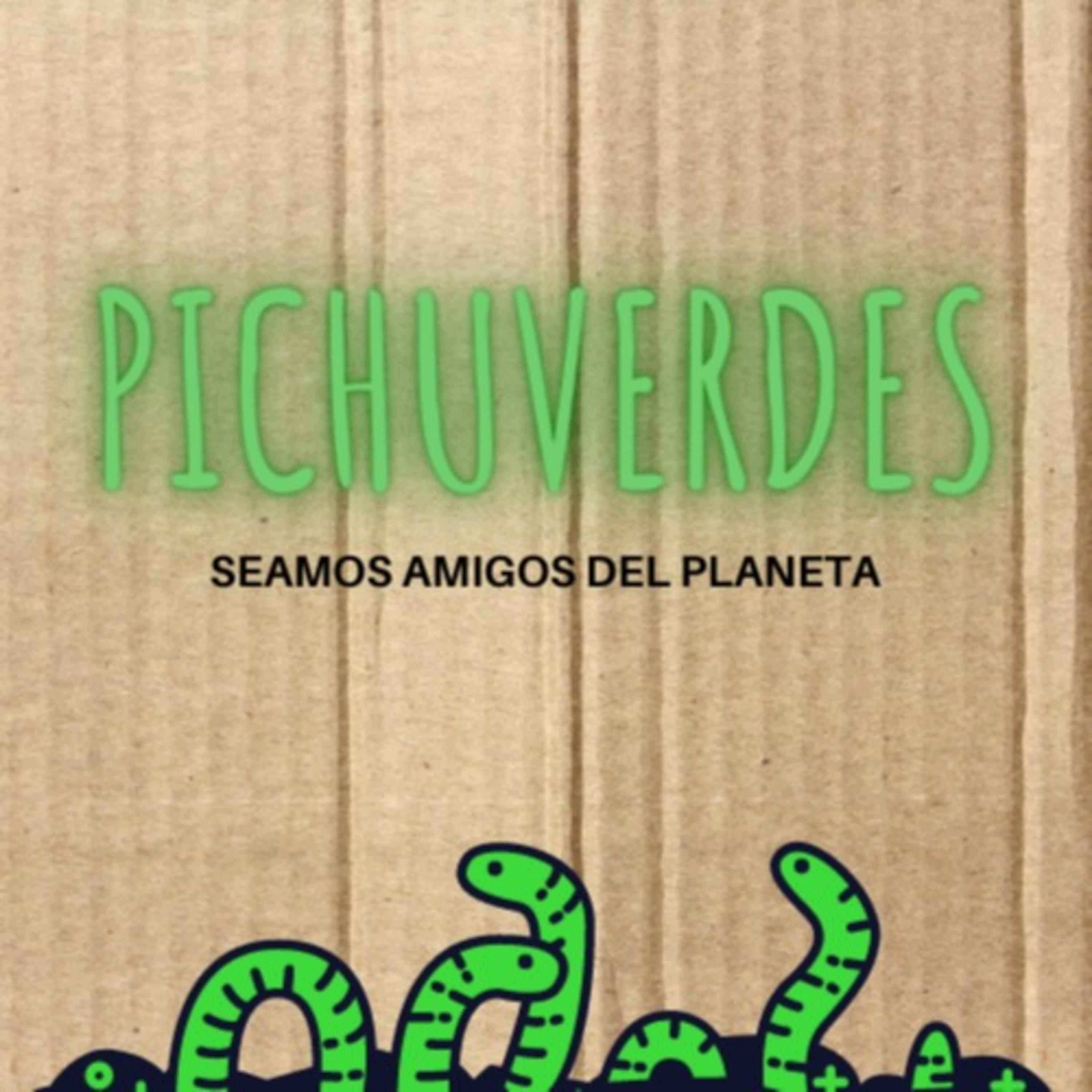 PichuVerdes 