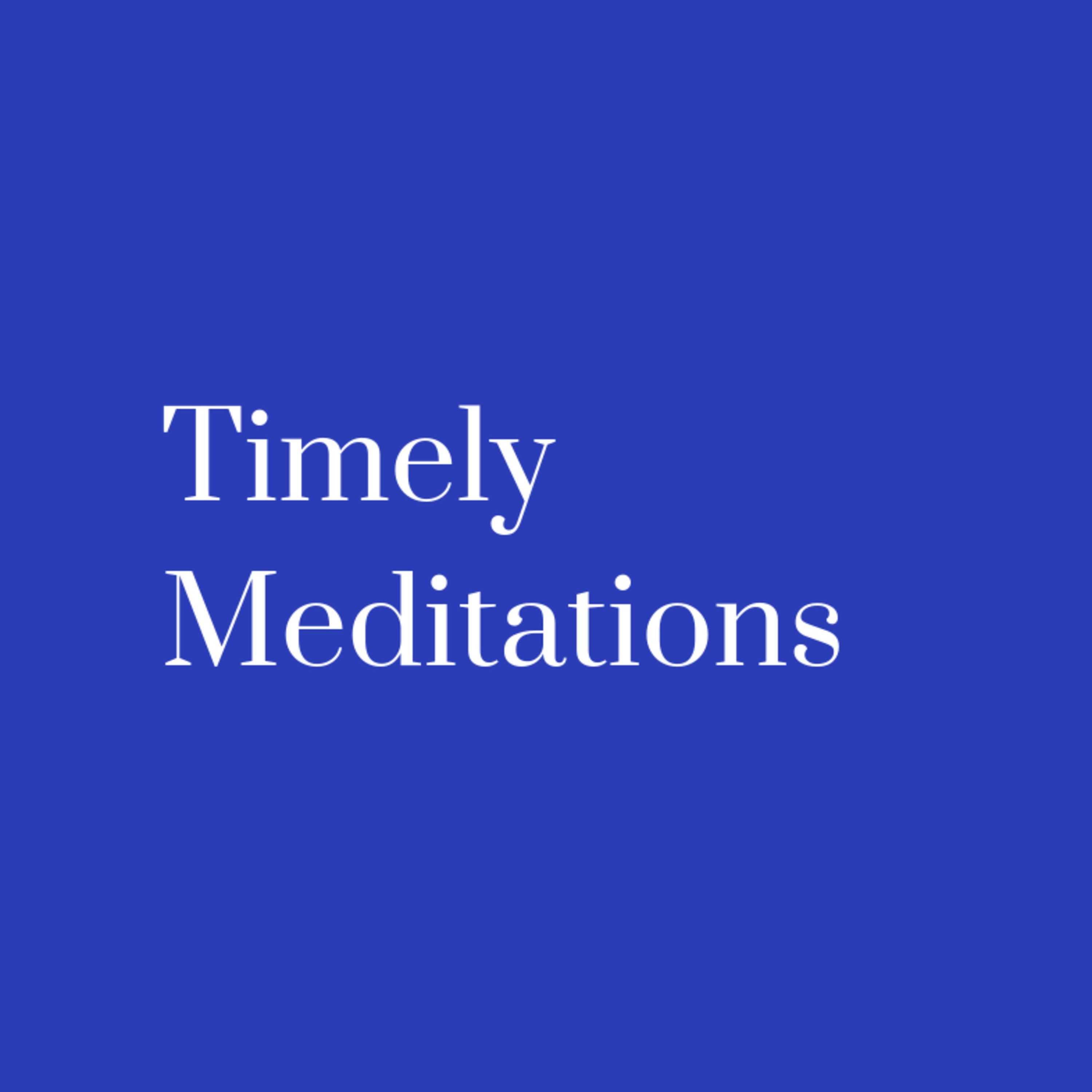 Timely Meditations
