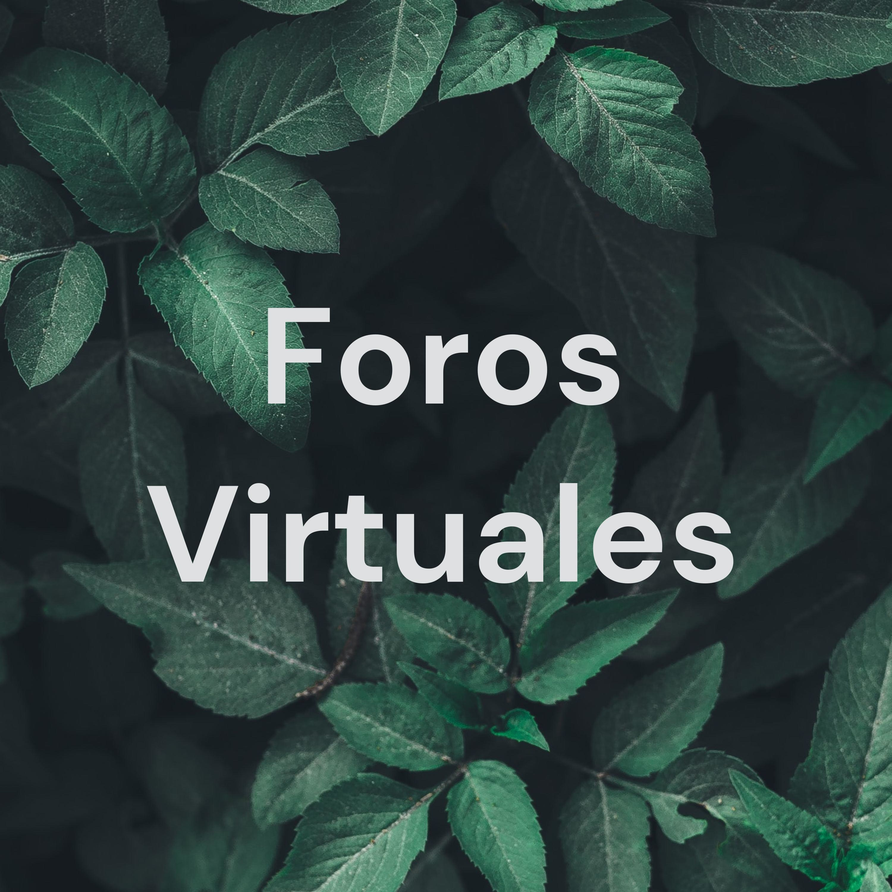 Foros Virtuales podcast artwork