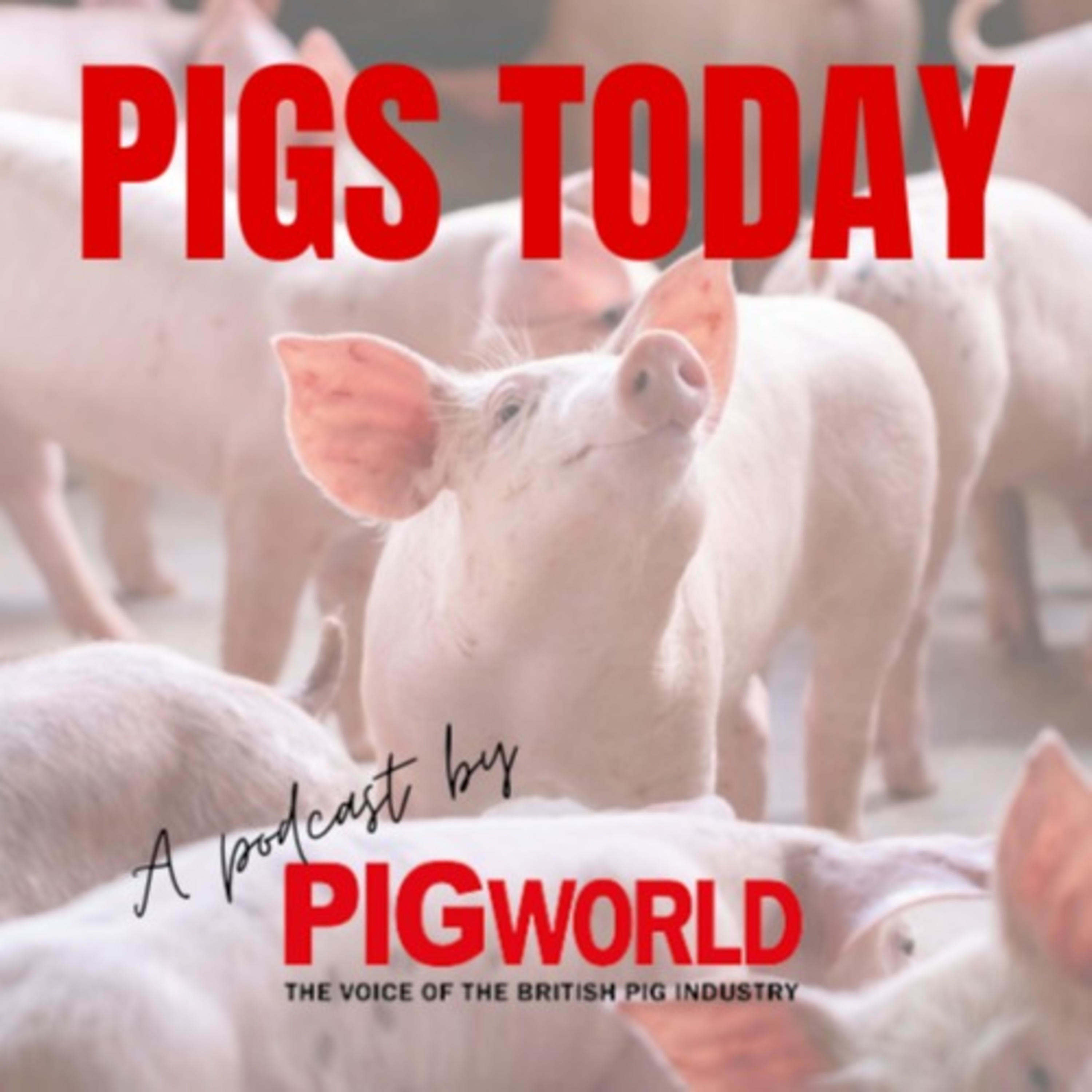Pigs Today podcast: Mike Sheldon on why AHDB wants to raise its levies