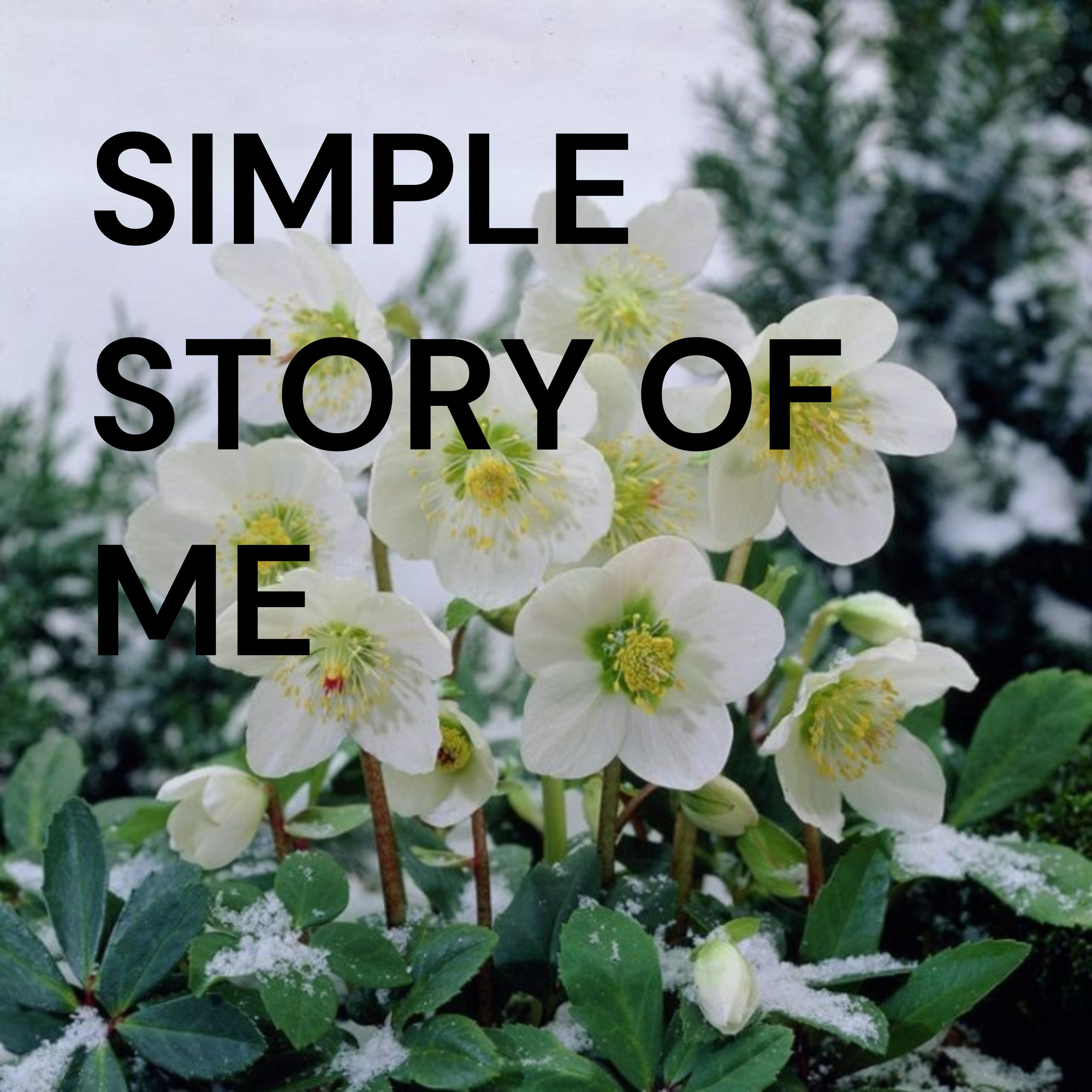 SIMPLE STORY OF ME